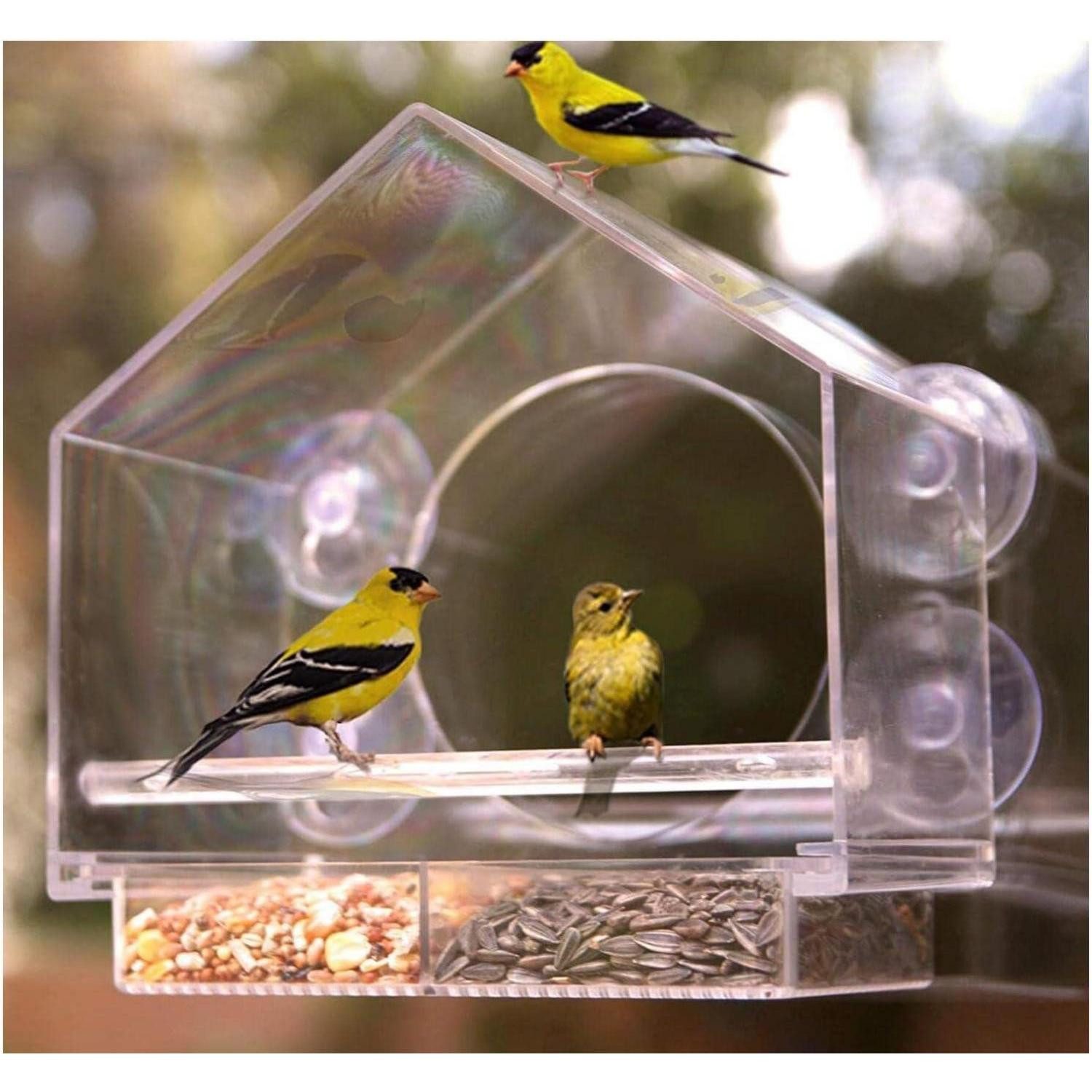 LuxusKollektion Futterhaus Vogelhaus für Fenster mit Saugnäpfen, Acryl Bird Feeder 21cm