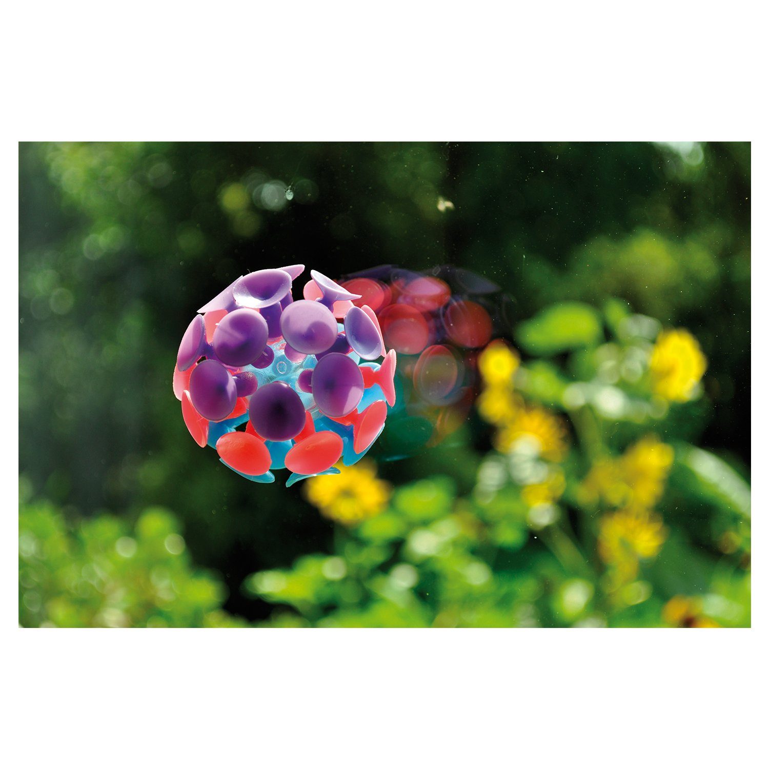 EDUPLAY Lernspielzeug Saugball Ø 6 cm günstig online kaufen