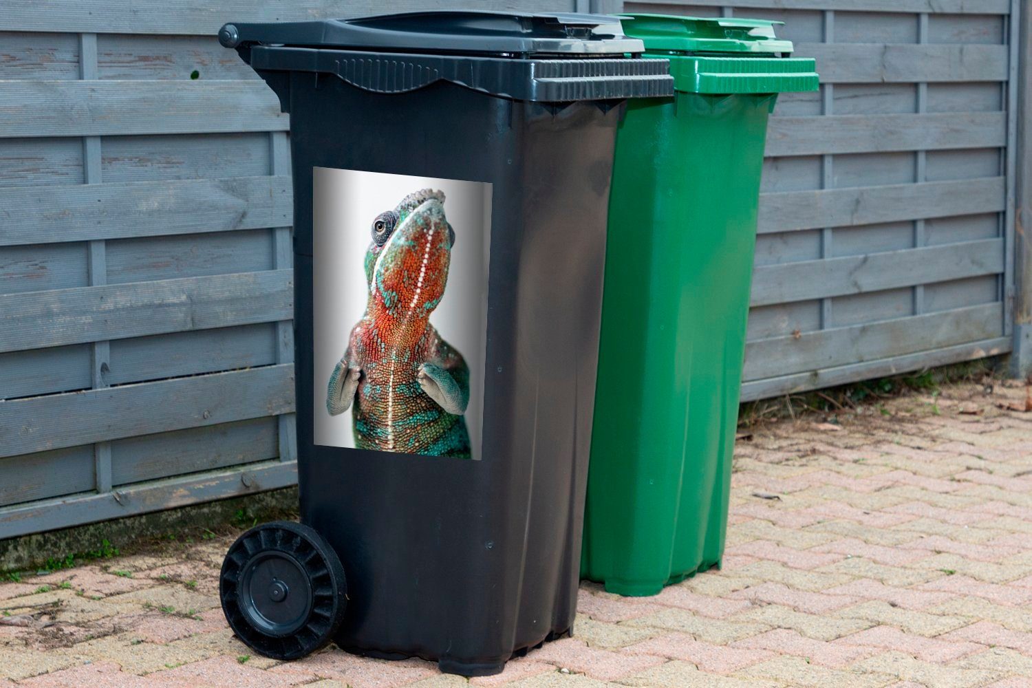 MuchoWow Wandsticker Stehendes Chamäleon auf (1 St), Container, Sticker, weißem Mülltonne, Mülleimer-aufkleber, Abfalbehälter Hintergrund