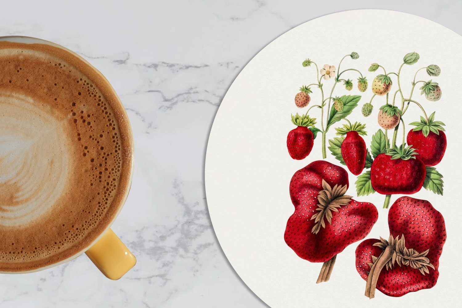 MuchoWow Getränkeuntersetzer, Obst Gläser, Becher Lebensmittel, Zubehör Glasuntersetzer für - Tasse, 6-tlg., Tassenuntersetzer, Erdbeeren - Korkuntersetzer,