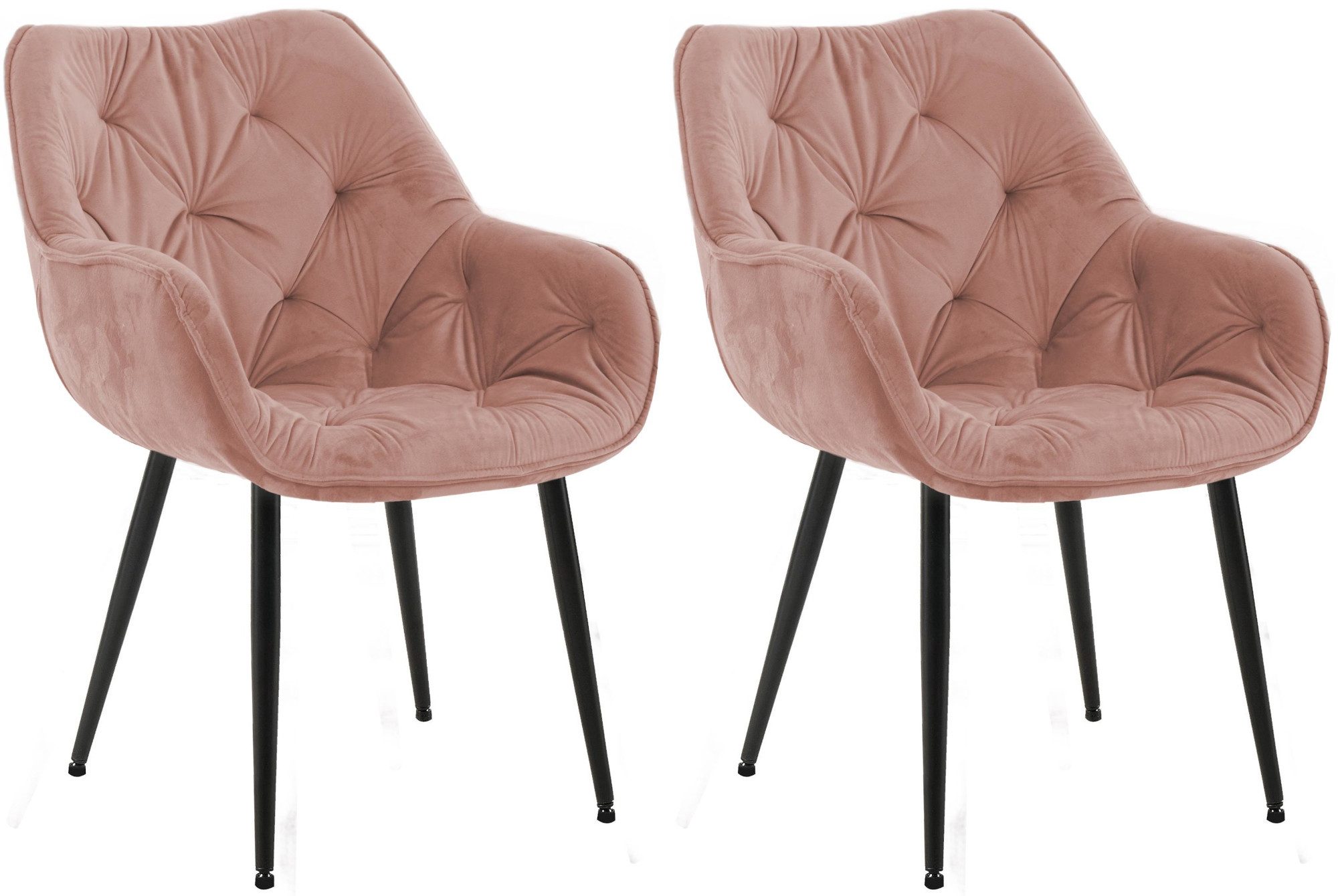 CLP Esszimmerstuhl Tanna Samt (2er Set, 2 St), mit Armlehnen und 4-Fuß Meta günstig online kaufen