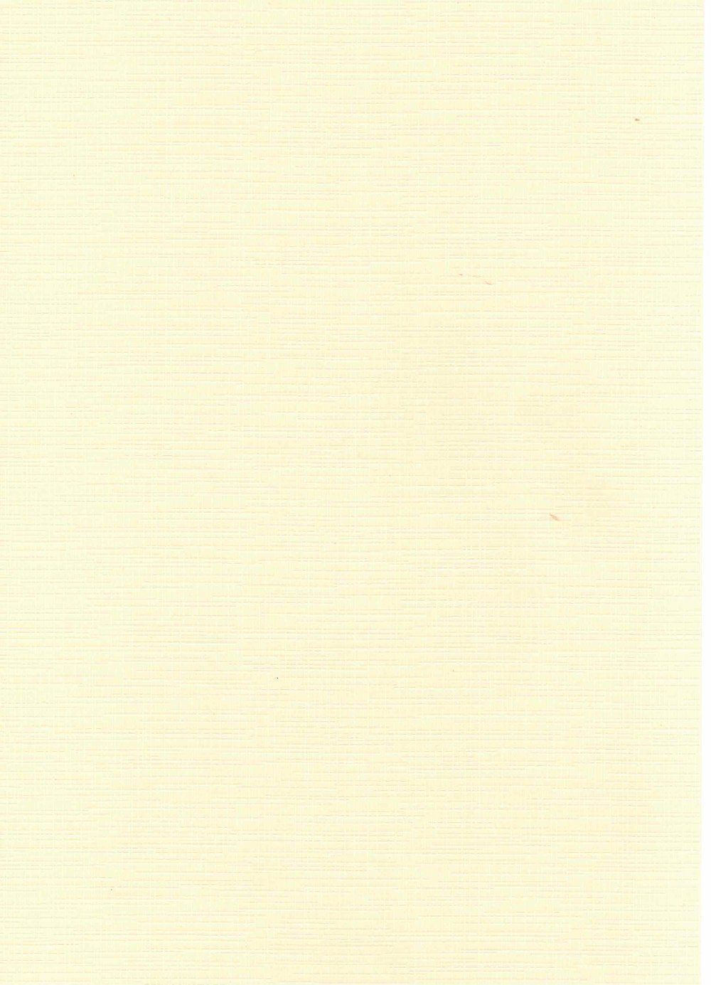 A4 zart-apricot Zeichenpapier Blatt/Pckg. Leinen-Karton HobbyFun 5 250g/m²