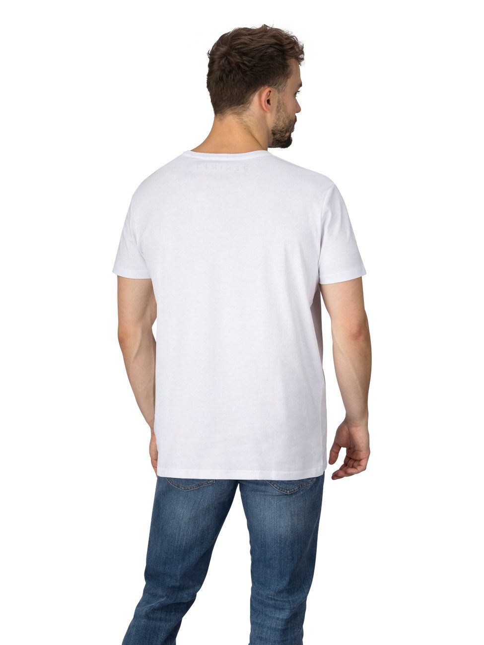 DENIMFY T-Shirt Herren Printshirt DFNuri Regular günstig online kaufen