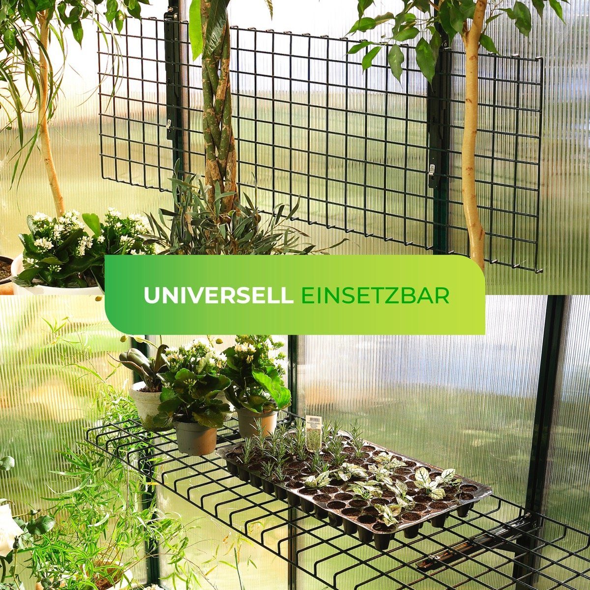 Bio Green Gewächshaus Gewächshaus Regal "Bruno" günstig online kaufen