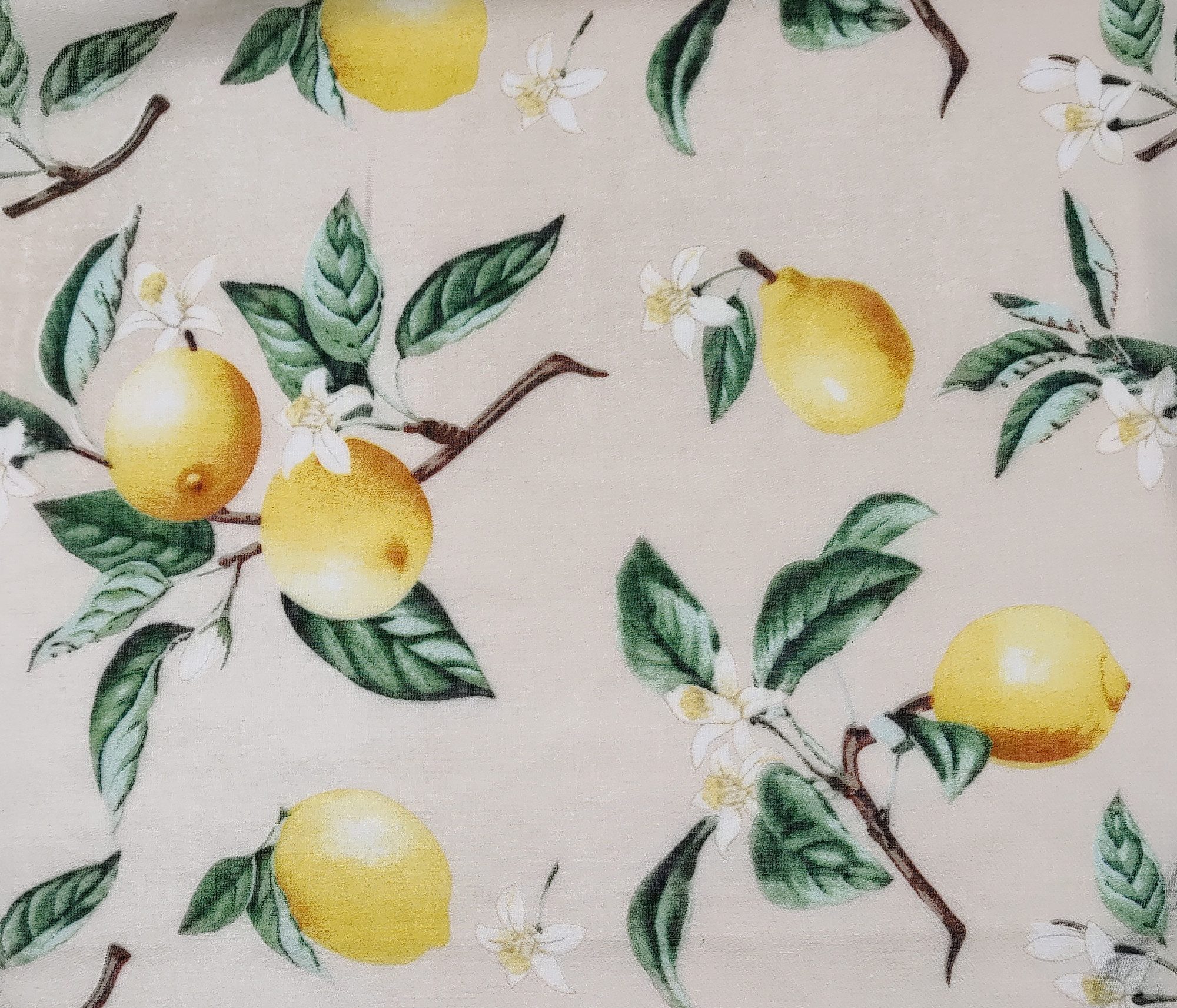 Cassandra Accessoires Schal "Lemon", mit mediterranem günstig online kaufen