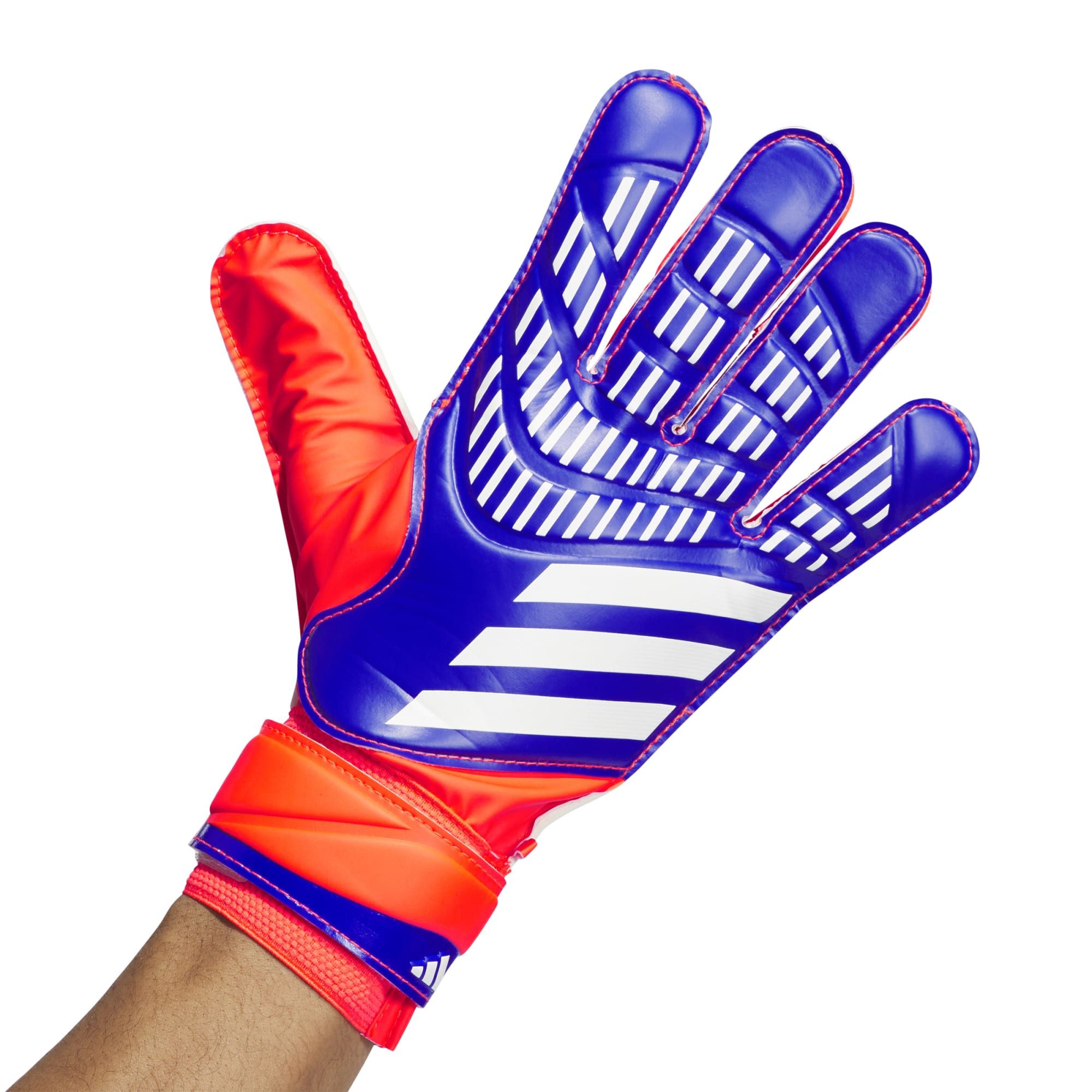adidas Performance Torwarthandschuhe adidas Torwarthandschuhe Predator Training