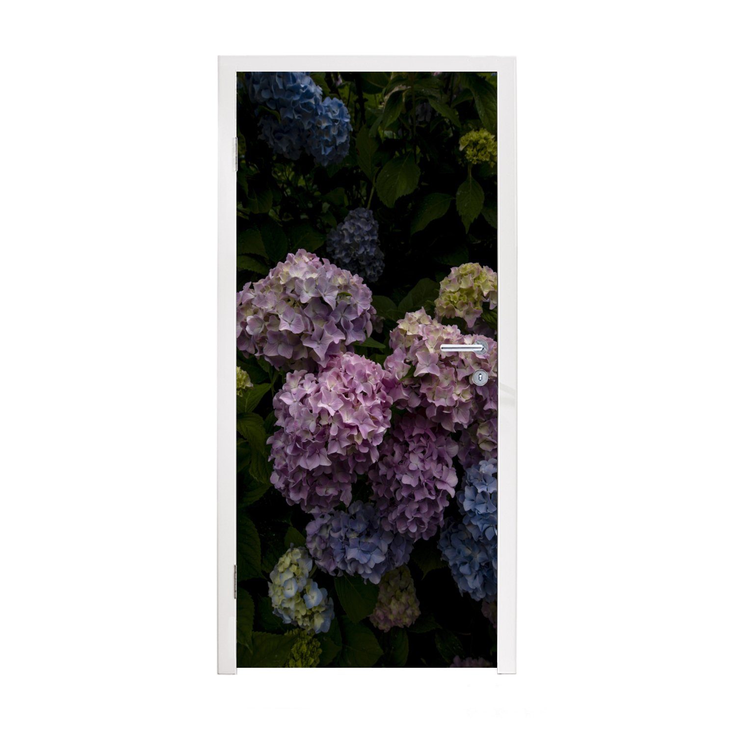 MuchoWow Türtapete Blühende Hortensiensträucher im Garten, Matt, bedruckt, (1 St), Fototapete für Tür, Türaufkleber, 75x205 cm