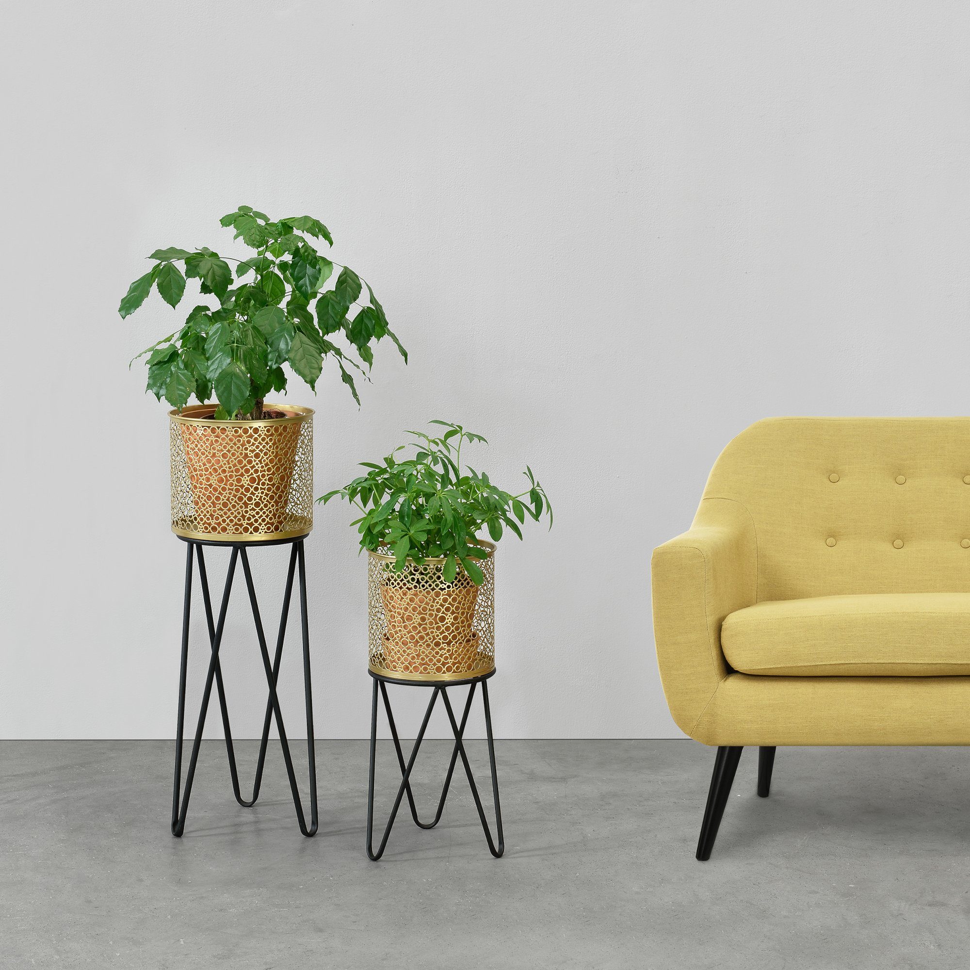 en.casa Blumenständer (Set, 2er), »Marchin« Blumenkübel Pflanzenständer mit  Hairpin Legs Pflanztopf Metall gold/schwarz