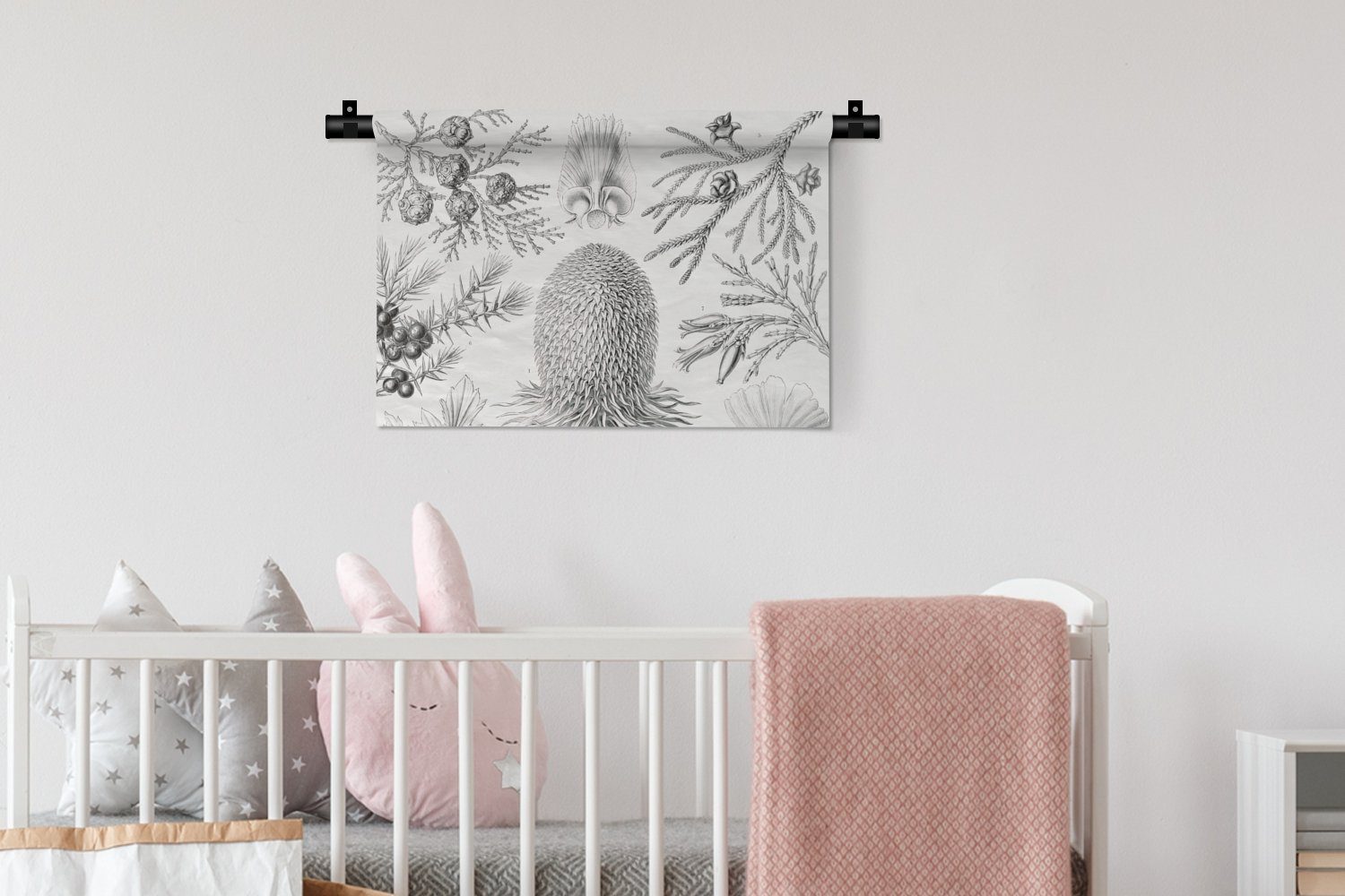 - - Haeckel Ernst - - Illustration Wohnzimmer, Wanddeko - Retro Natur, Wanddekoobjekt Kinderzimmer Schlafzimmer, Kleid, MuchoWow Kunst Koniferen Wandbehang, für