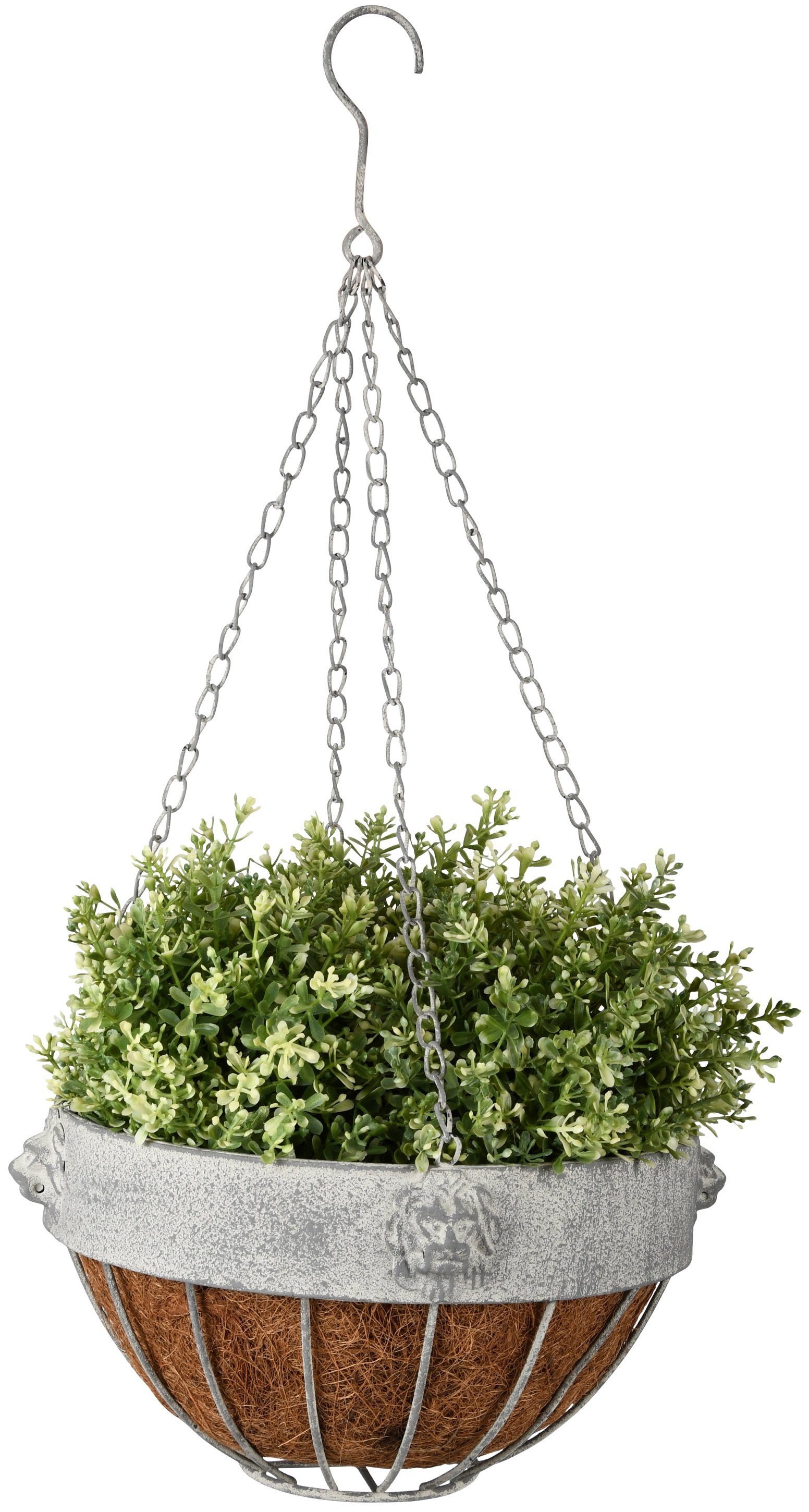 esschert design Blumenampel Esschert Design Hänge Topf Blumenampel 26cm Kokoseinlage grau Metall Löwe Pflanz (Blumenampel)