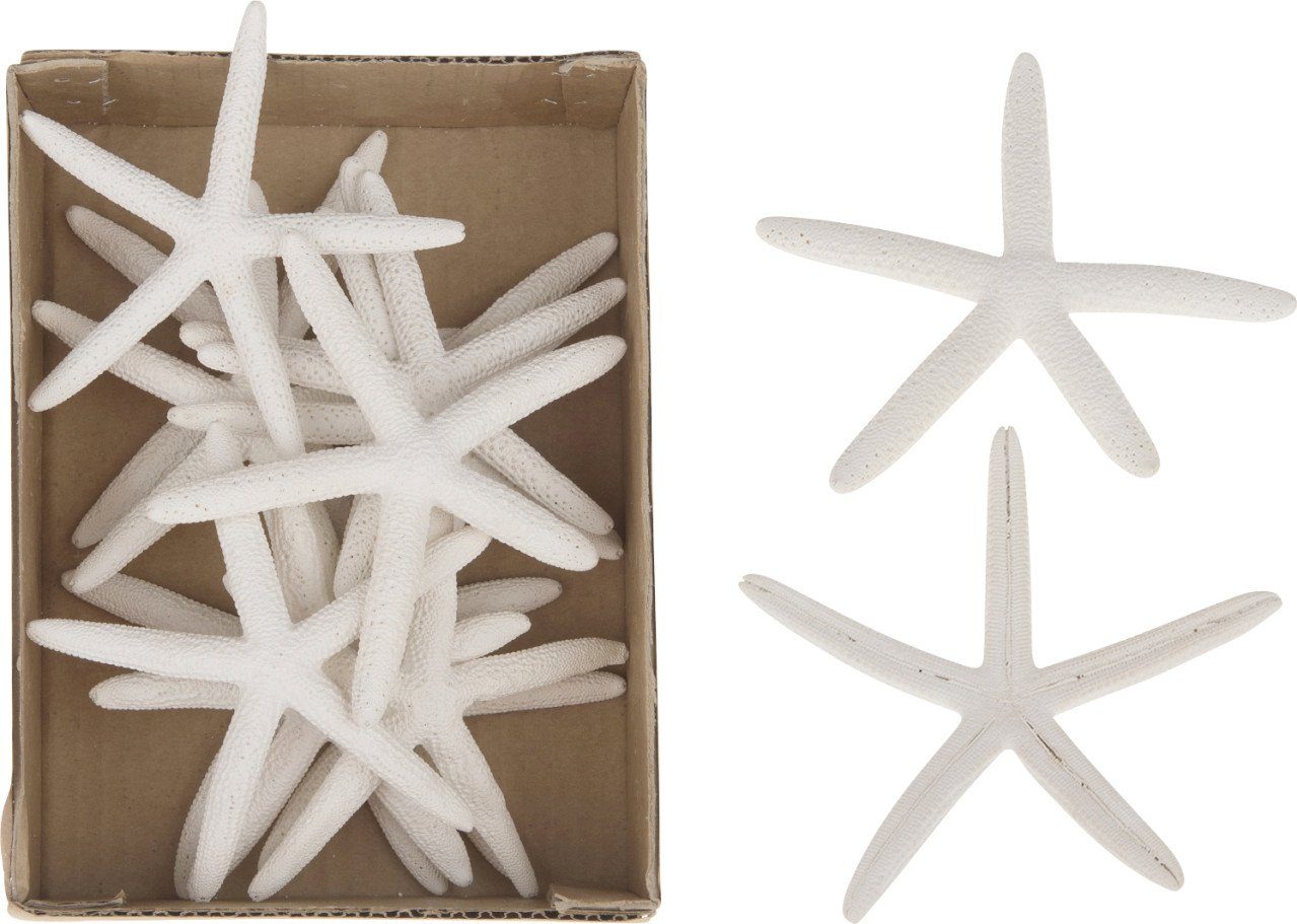 Dekofigur Dijk Seestern Finger weiß 10-12 cm
