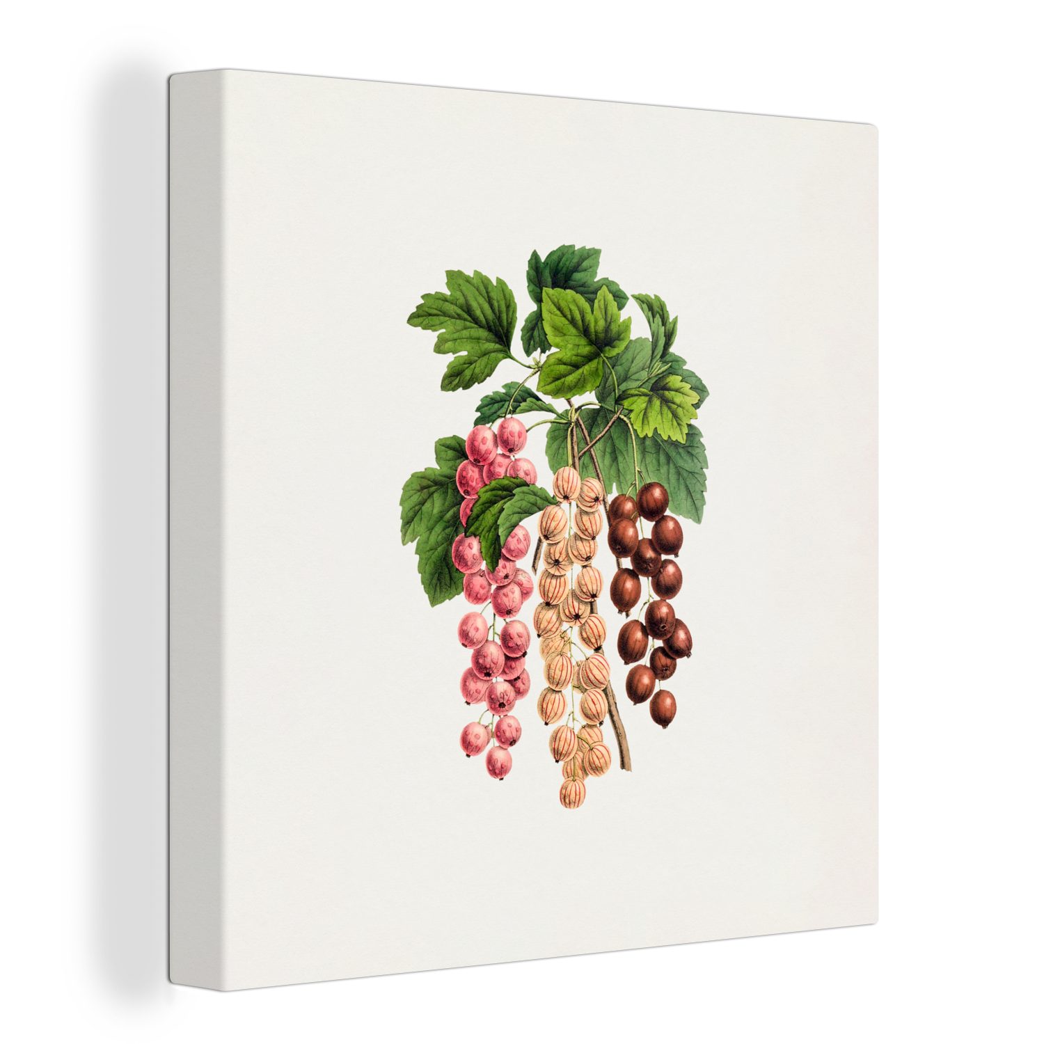 OneMillionCanvasses® Leinwandbild Obst - Weinlese - Beeren, (1 St), Leinwand Bilder für Wohnzimmer Schlafzimmer