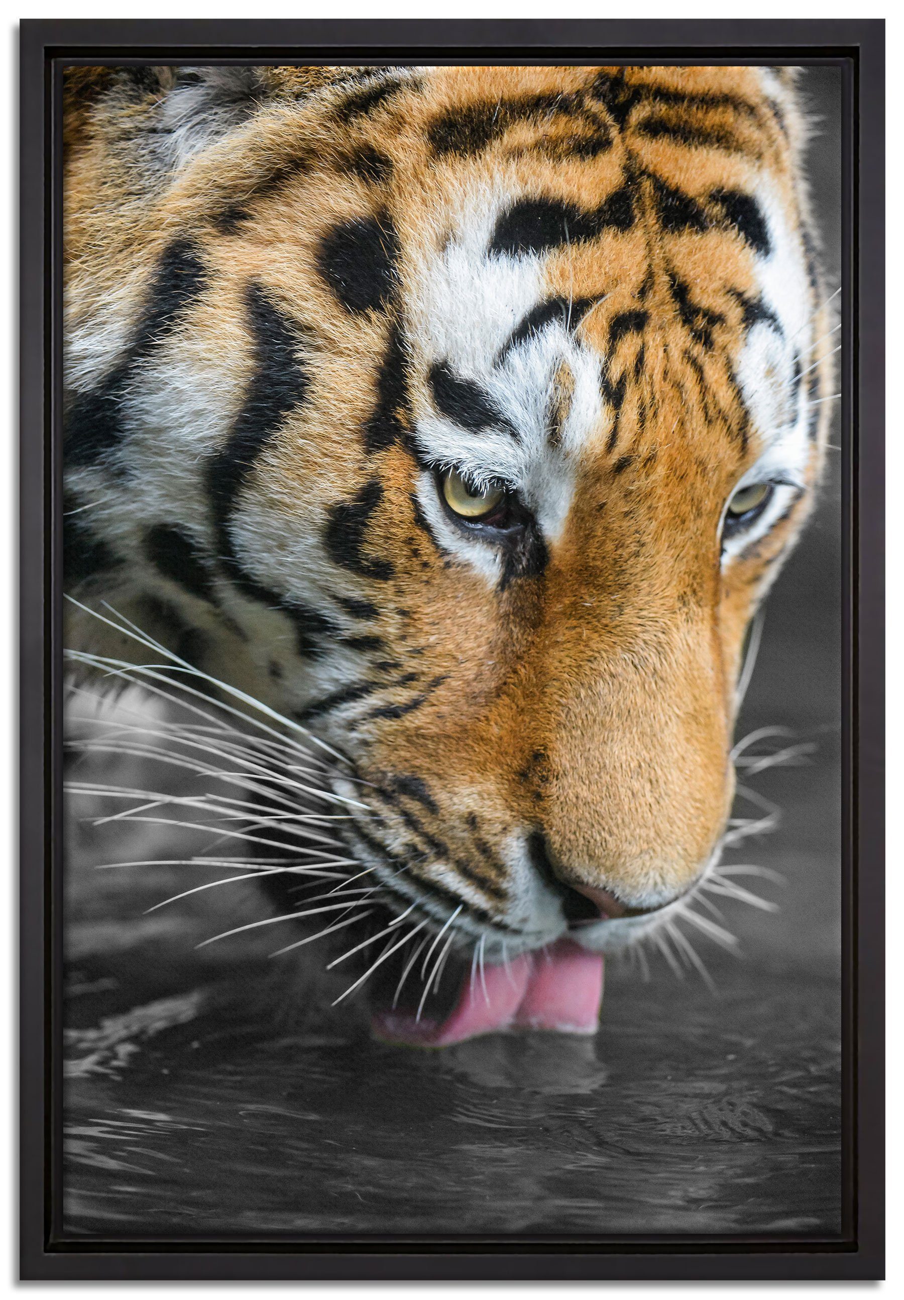 Pixxprint Leinwandbild majestätischer Tiger trinkt, Wanddekoration (1 St), Leinwandbild fertig bespannt, in einem Schattenfugen-Bilderrahmen gefasst, inkl. Zackenaufhänger