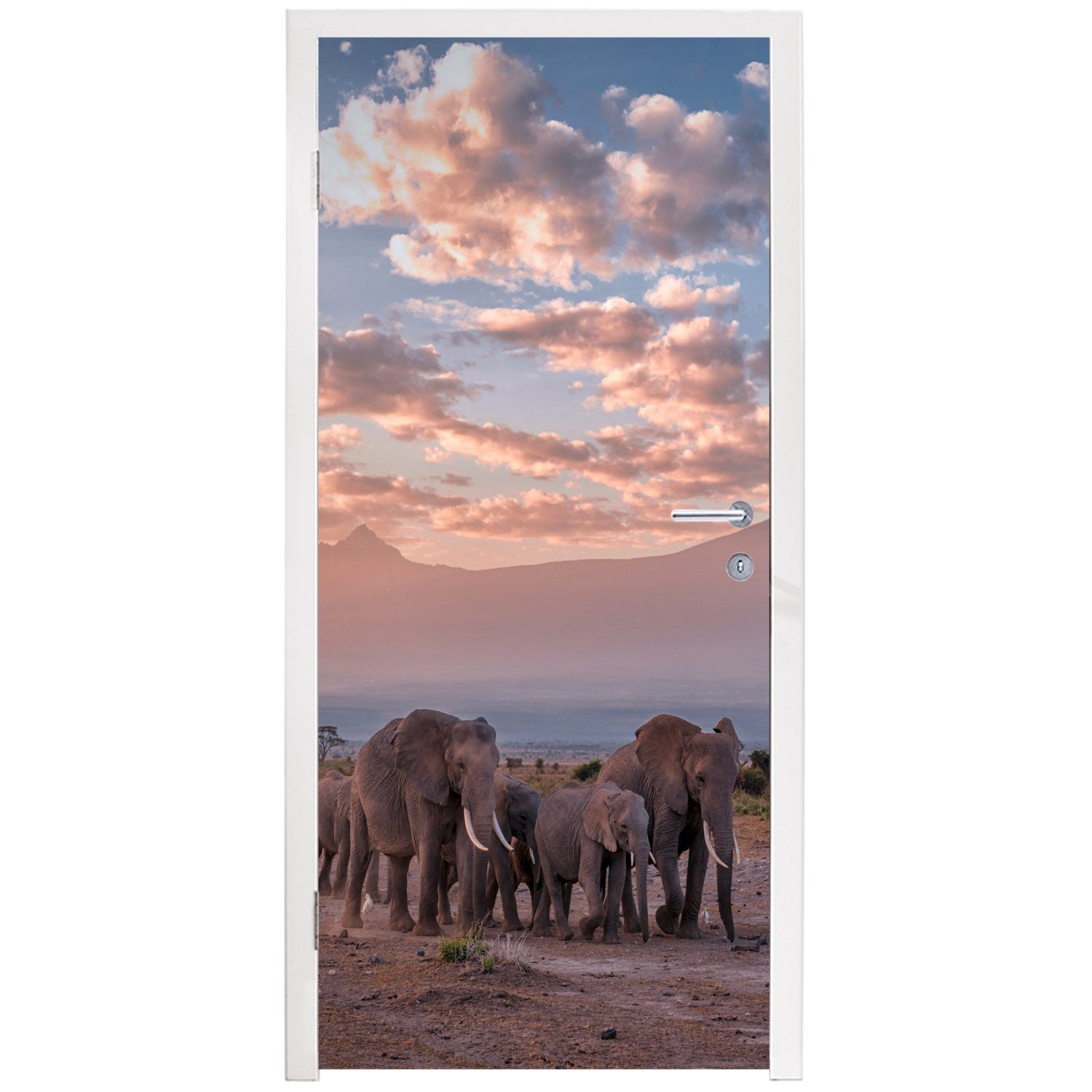 Landschaft MuchoWow bedruckt, - Türaufkleber, Tür, - für - Abend Elefant Tiere Türtapete Fototapete Savanne, cm St), Matt, - 75x205 (1