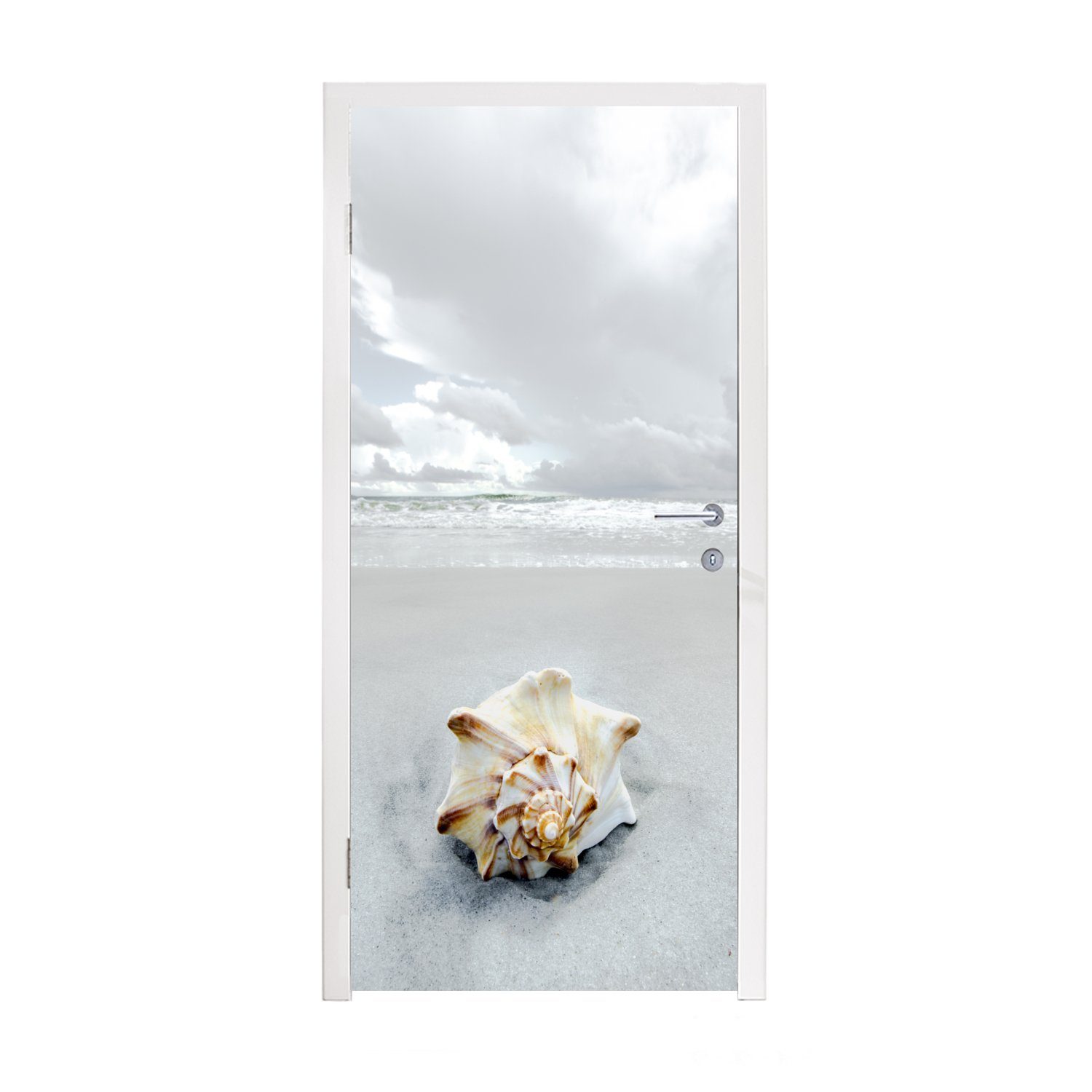 Tür, cm bedruckt, Türaufkleber, 75x205 Strand Matt, St), Himmel, Türtapete Fototapete (1 - MuchoWow Muschel - für
