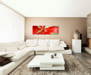 Sinus Art Leinwandbild Naturfotografie  Rote Blüte auf Leinwand exklusives Wandbild moderne Fotografie für ihre Wand in vi