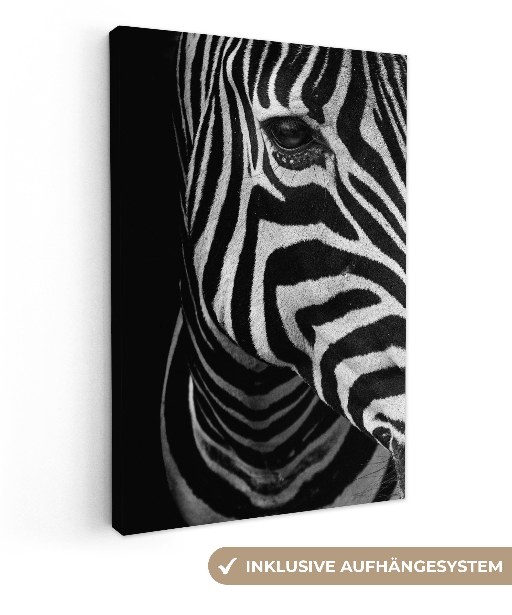 OneMillionCanvasses® Leinwandbild Tiere - Zebra - günstig online kaufen