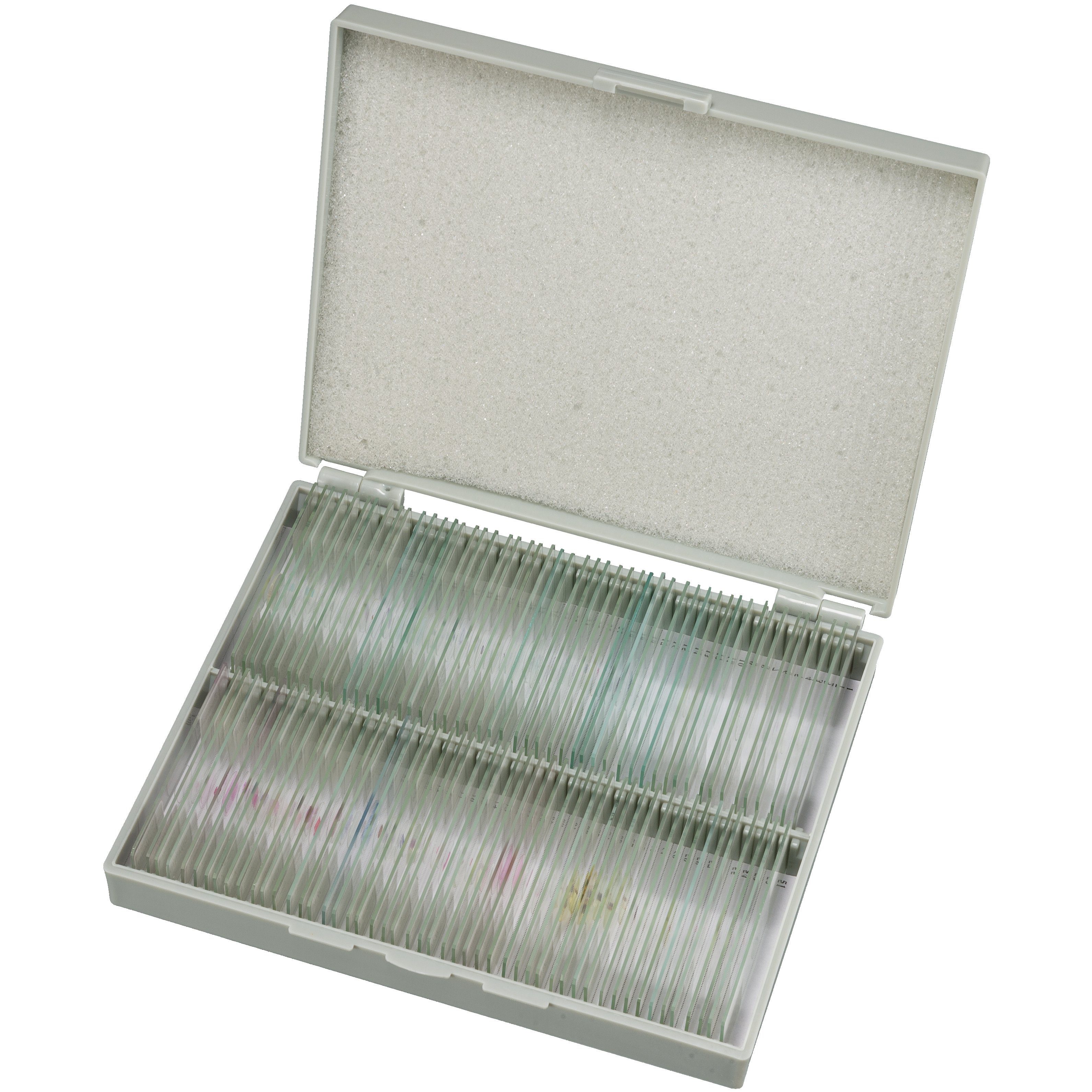 BRESSER Dauerpräparate Set mit 100 Präparaten in Kunststoffbox Auf- und Durchlichtmikroskop