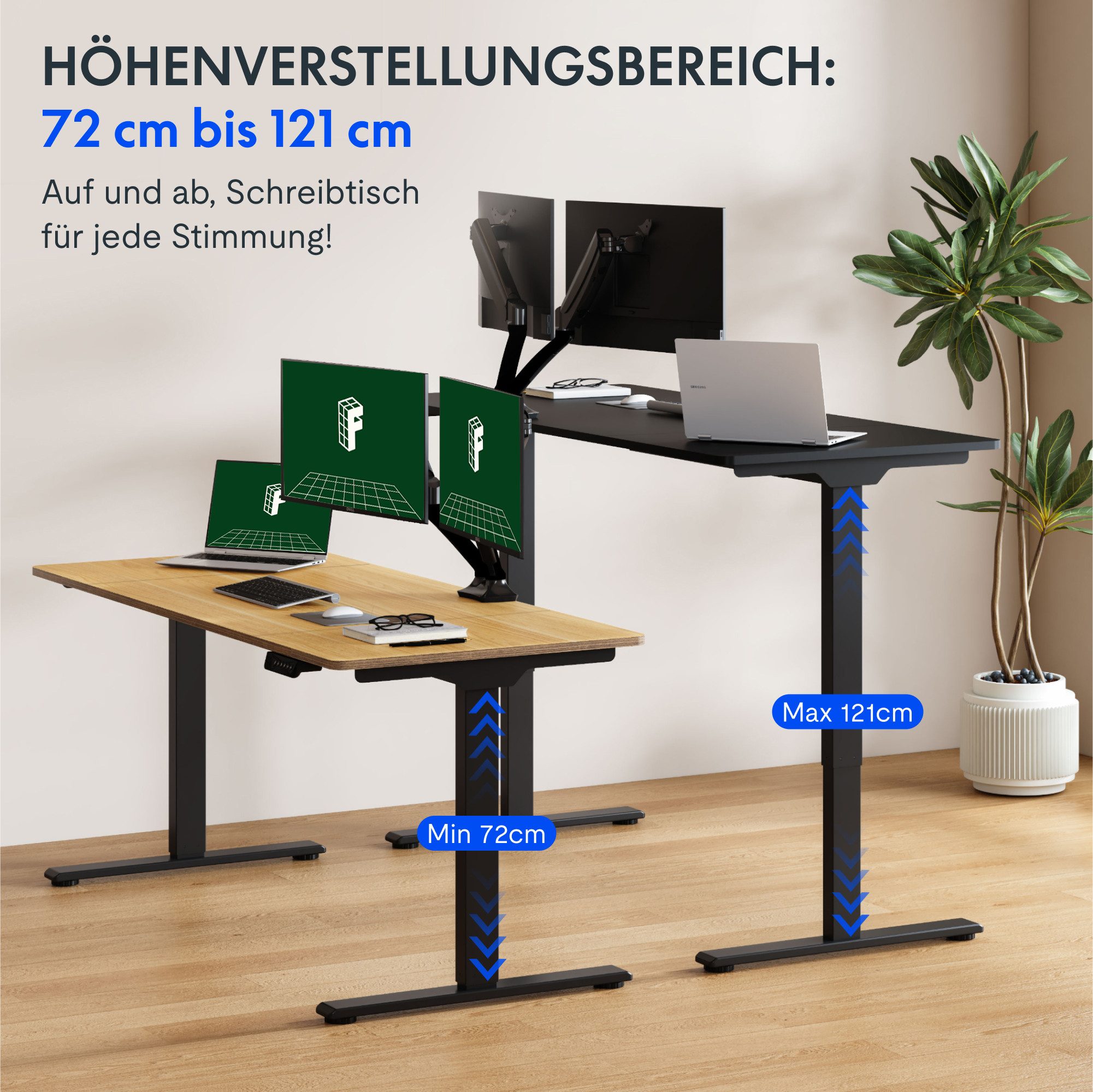 FLEXISPOT Schreibtisch Sitz-Steh-Tisch mit Memory-Funktionen (Dual-Motor günstig online kaufen