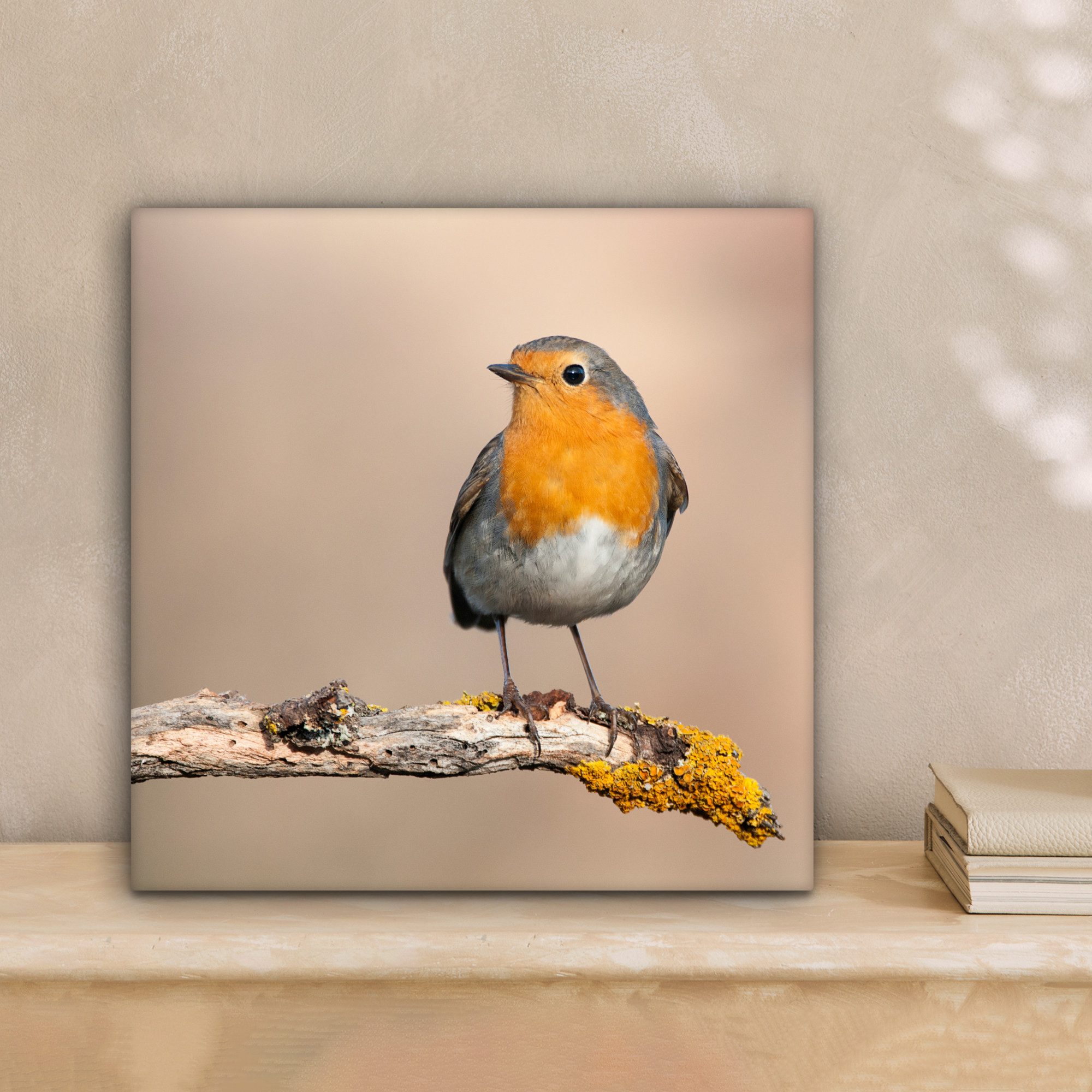 OneMillionCanvasses® Leinwandbild Rotkehlchen - Vogel - Zweig - Tiere, Foto günstig online kaufen