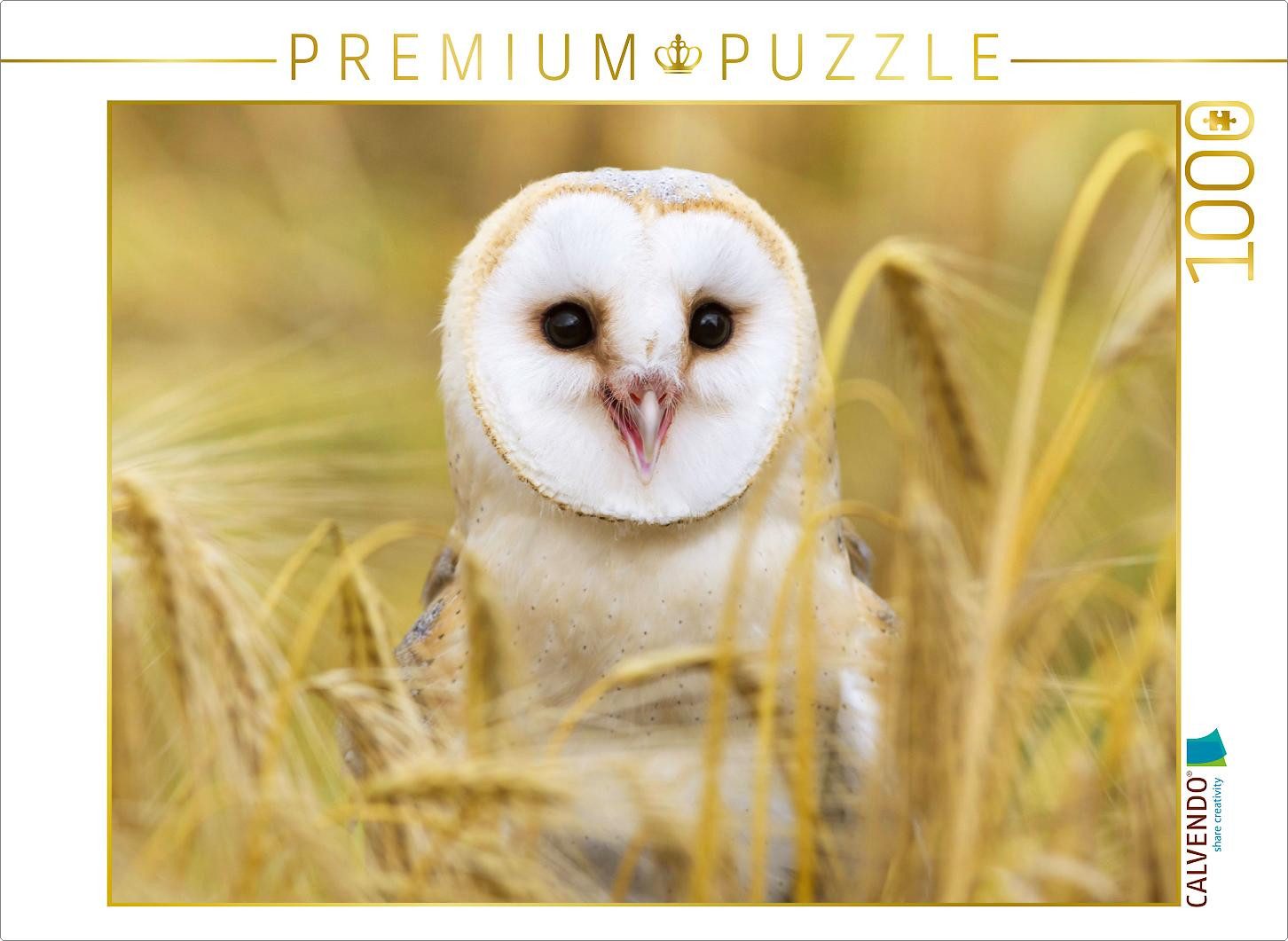 CALVENDO Puzzle CALVENDO Puzzle Eulen: Schleiereule in einem Feld auf Mäusejagd., 100, 1000 Puzzleteile