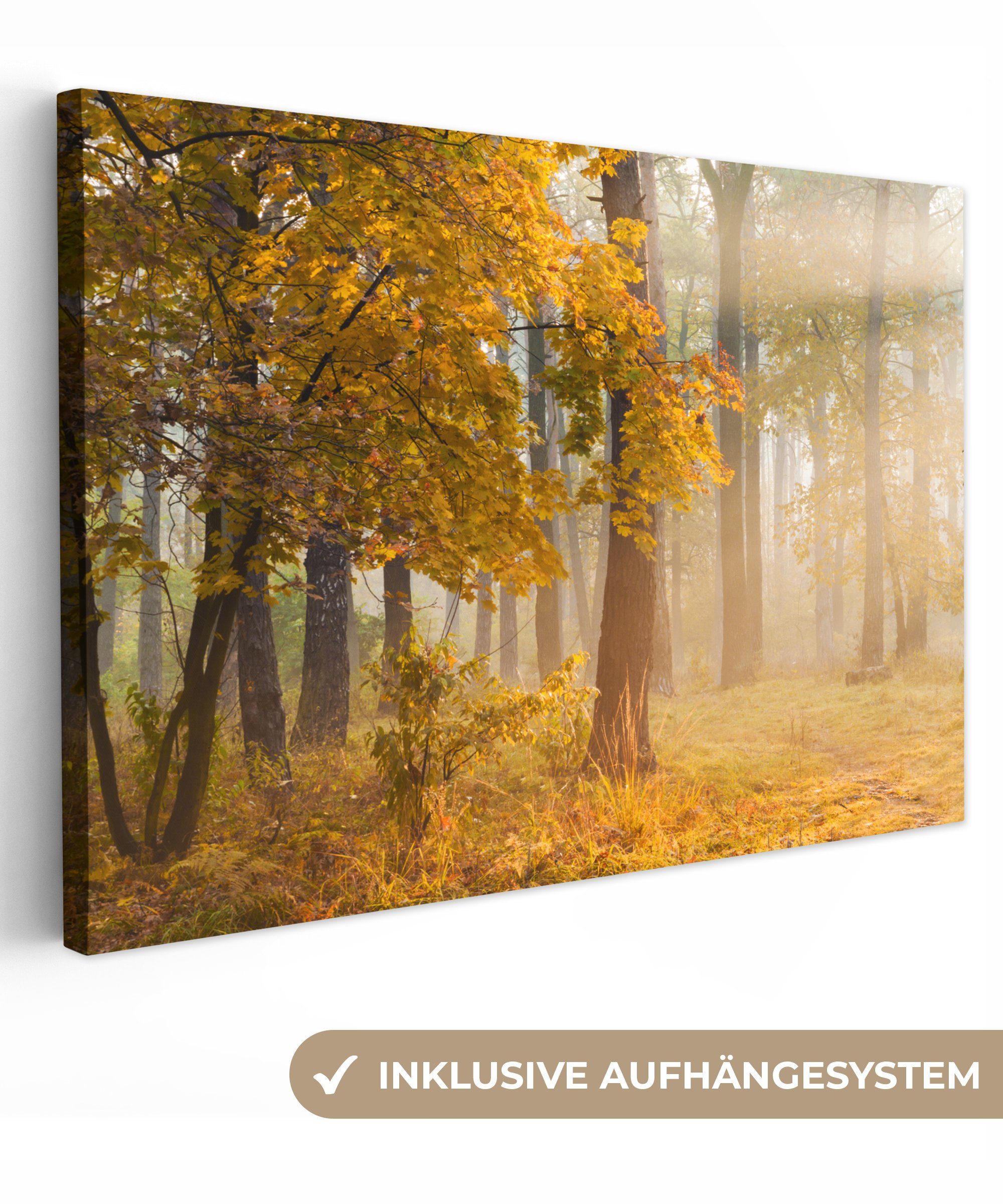 OneMillionCanvasses® Leinwandbild Herbstbäume für Gemälde, St), nebligen XXL, Wandbild cm Wohnbereiche, großes, (1 Wald, alle im 120x80