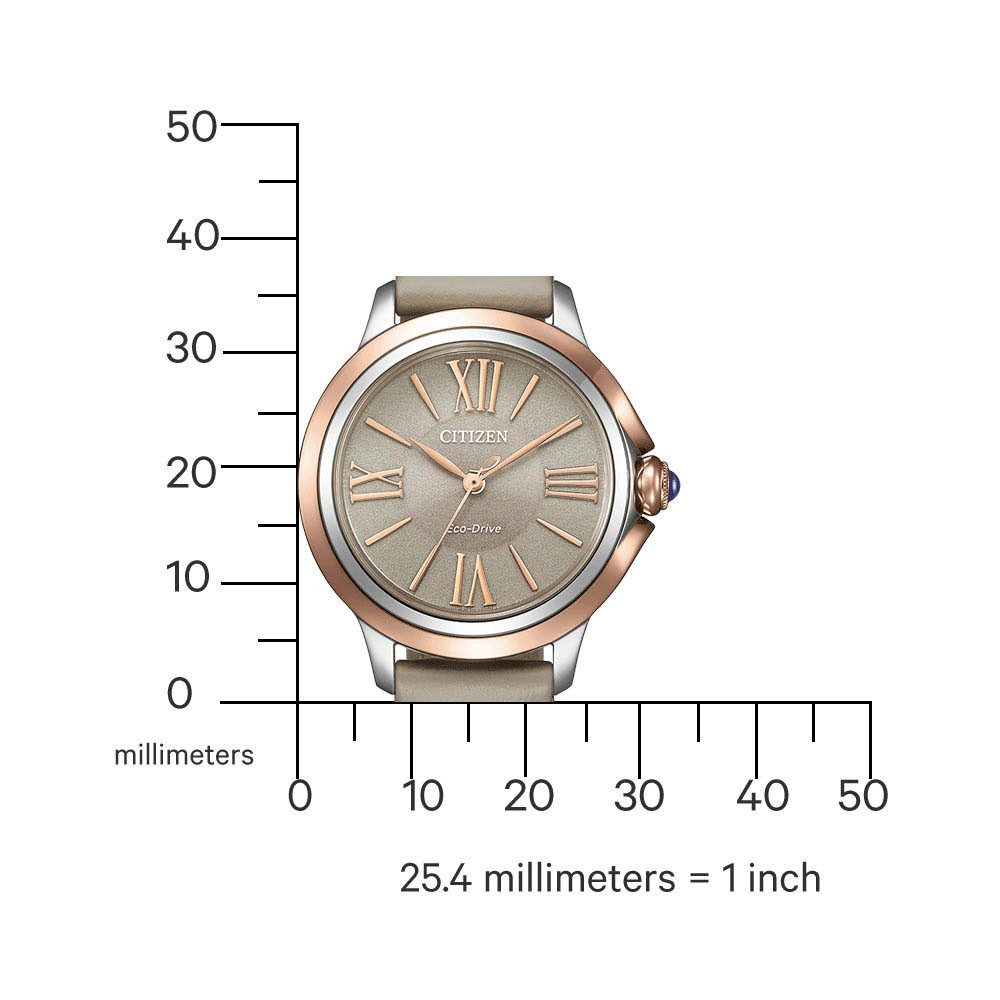 Citizen Solaruhr Citizen L EM1166-01Z, Armbanduhr, günstig online kaufen