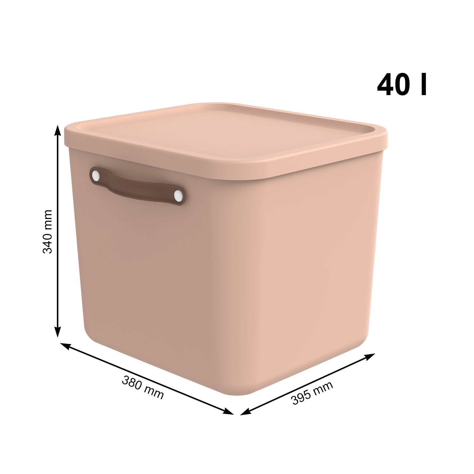 ROTHO Aufbewahrungsbox 2er-Set Aufbewahrungskiste 40l (Aufbewahrungsset, günstig online kaufen