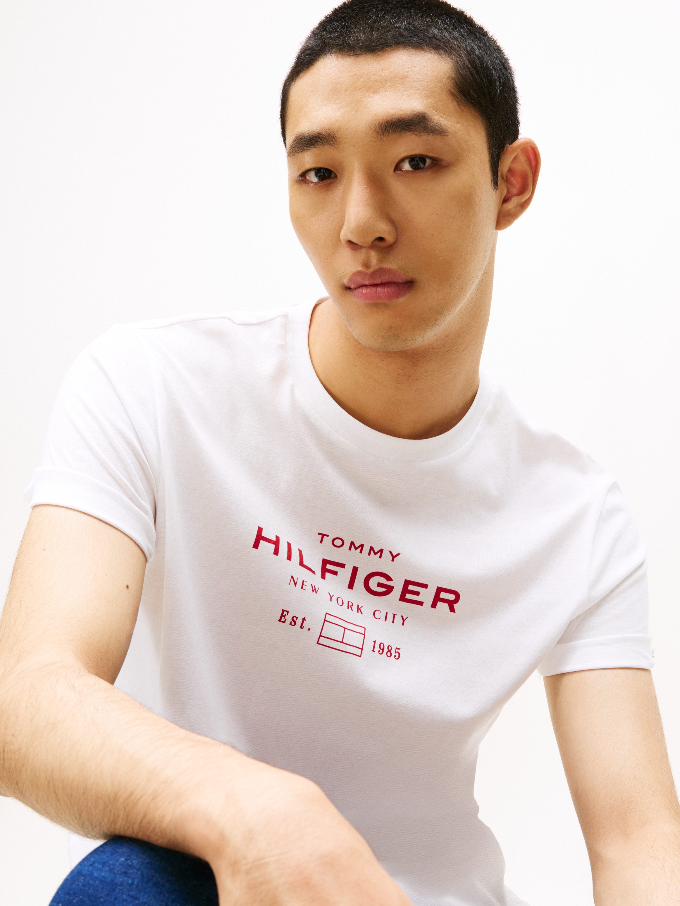 Tommy Hilfiger T-Shirt HILFIGER STACK GRAPHIC günstig online kaufen