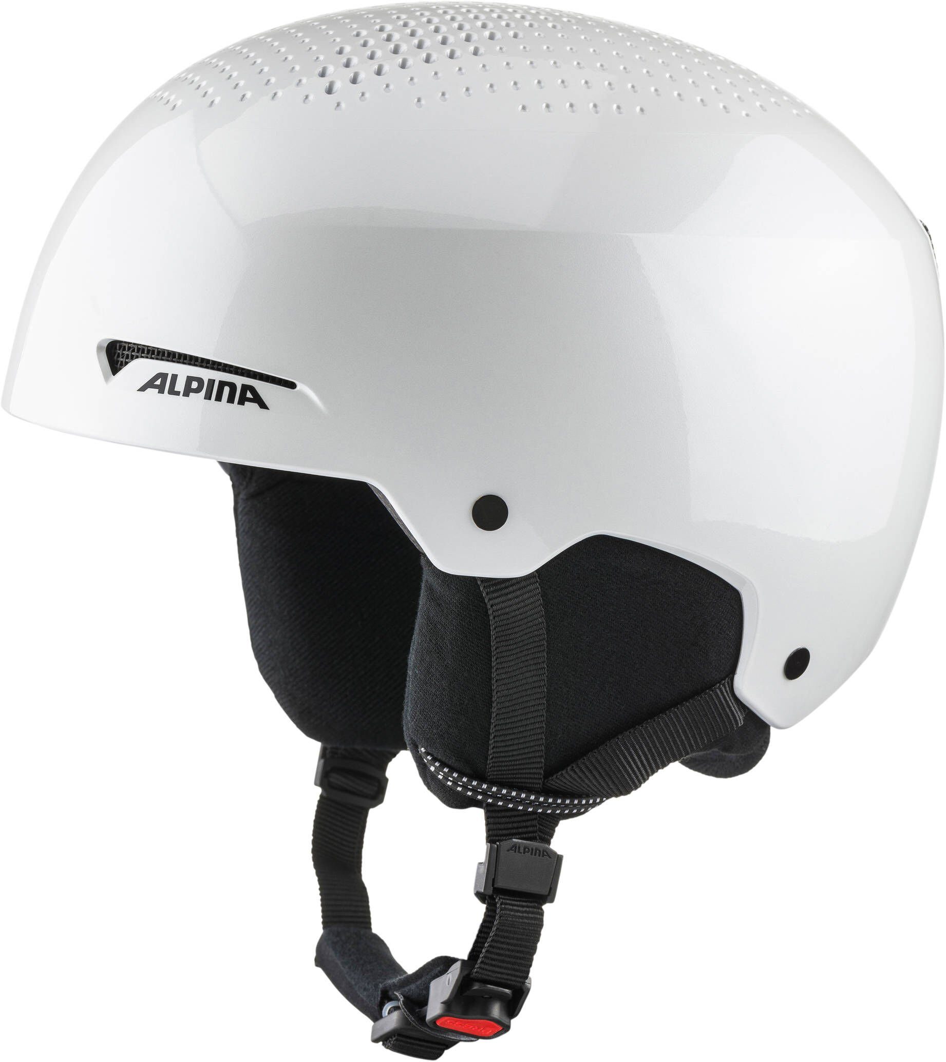 Alpina Sports Skihelm Herren Skihelm ARBER