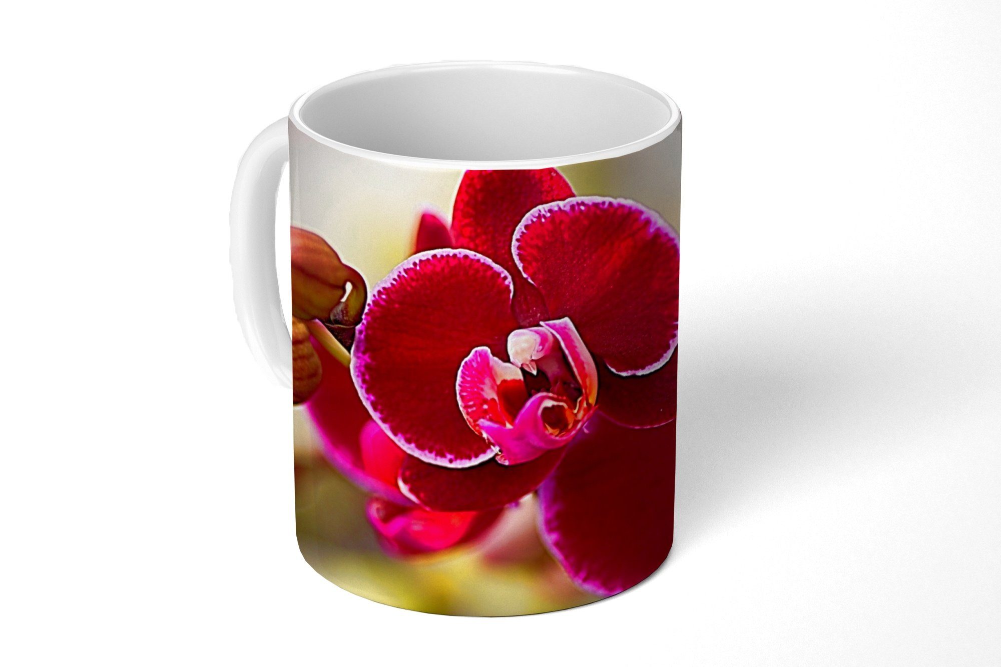 roten Nahaufnahme Teetasse, Hintergrund, MuchoWow einem Orchideen von Tasse Teetasse, Kaffeetassen, Geschenk Keramik, vor unscharfen Becher,