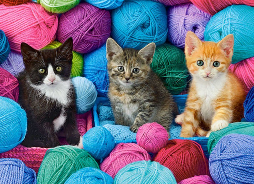 Castorland Puzzle Castorland B-030477 Kittens in Yarn Store, Puzzle 300 Teile, Puzzleteile
