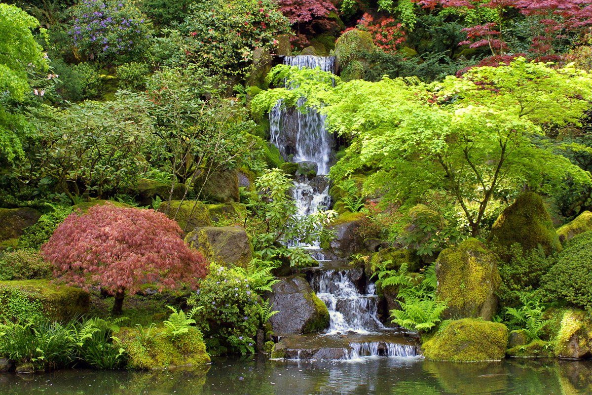 Papermoon Wasserfall Garten Fototapete Kleiner in
