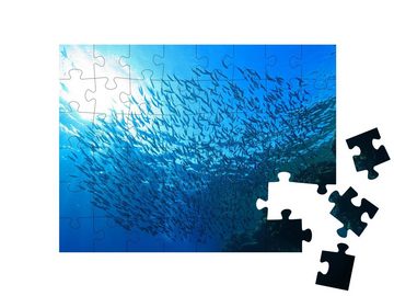 puzzleYOU Puzzle Fischschwarm bei einem Korallenriff, Rotes Meer, 48 Puzzleteile, puzzleYOU-Kollektionen Fische, Unterwasser