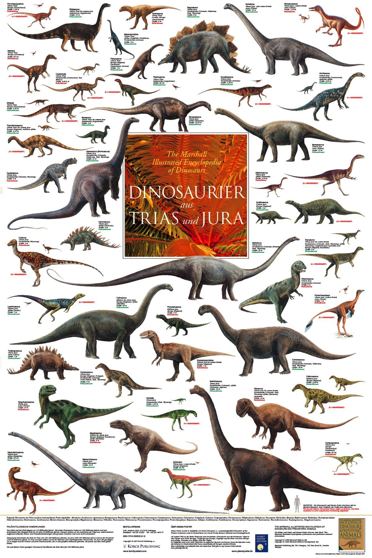 Close Up Poster Dinosaurier aus Trias und Jura Poster laminiert 60 x 90 cm günstig online kaufen