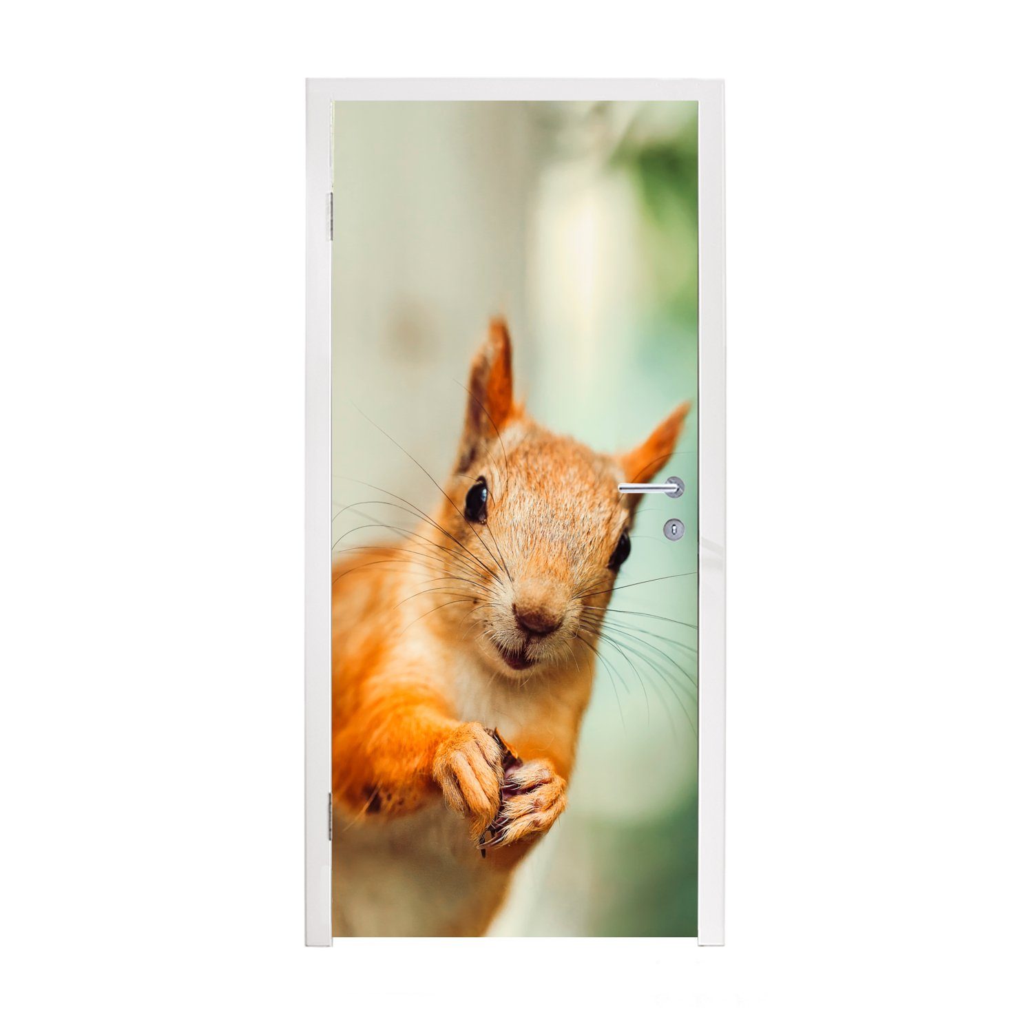MuchoWow Türtapete Eichhörnchen - Lustig - Nuss - Kinder - Jungen - Mädchen - Kind, Matt, bedruckt, (1 St), Fototapete für Tür, Türaufkleber, 75x205 cm