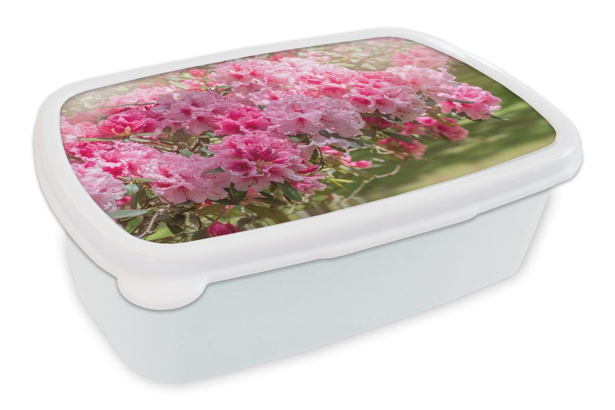 MuchoWow Lunchbox Sommerfarben der Hortensie, Kunststoff, (2-tlg), Brotbox für Kinder und Erwachsene, Brotdose, für Jungs und Mädchen weiß