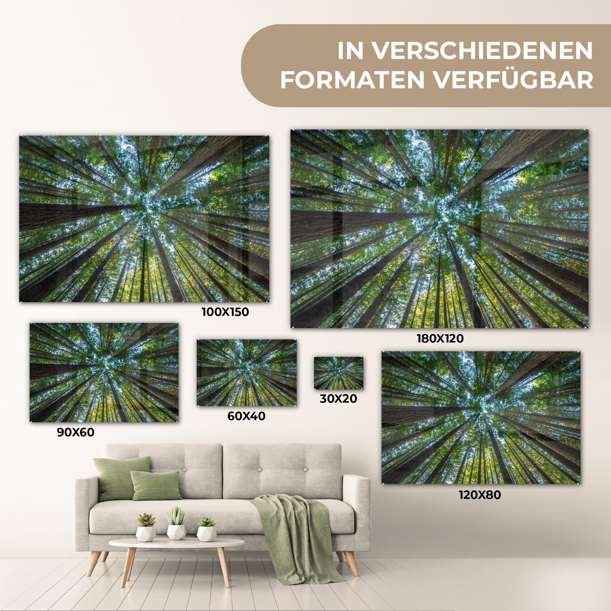 - Bäume, MuchoWow Wohnzimmer Laub & Acrylglasbild (1 Acrylglasbilder Wald - St), Schlafzimmer