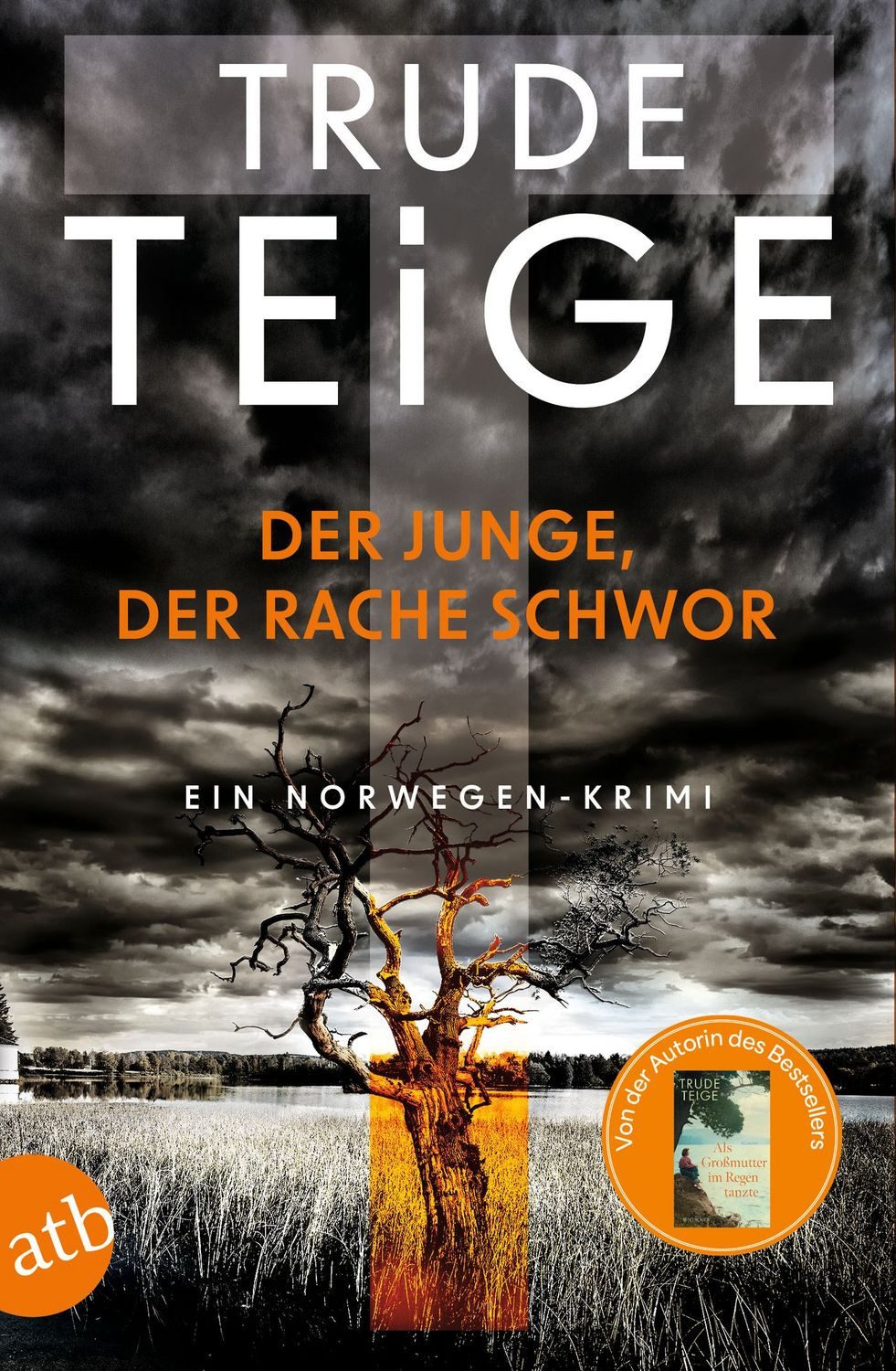 Belletristik Der Junge, der Rache schwor Ein Norwegen-Krimi Trude Teige