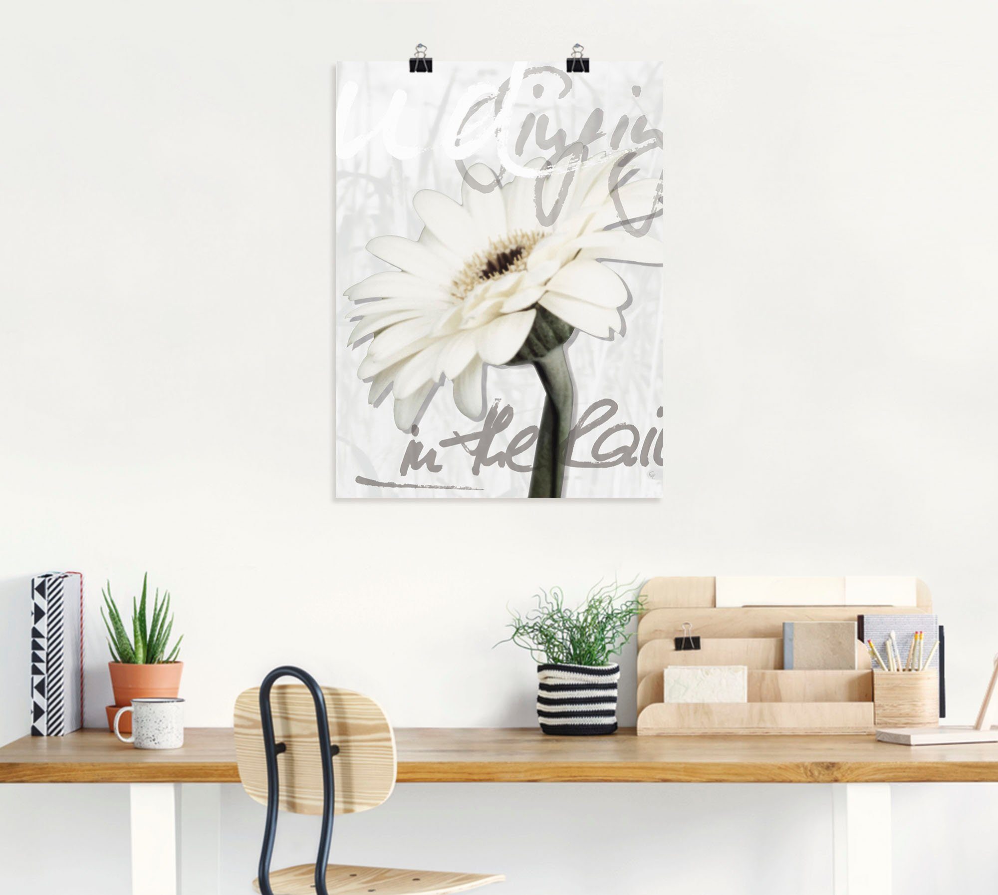 in als Poster Größen oder Wandaufkleber (1 Blumenbilder Leinwandbild, Alubild, Artland St), weiß Gerbera, Wandbild versch.