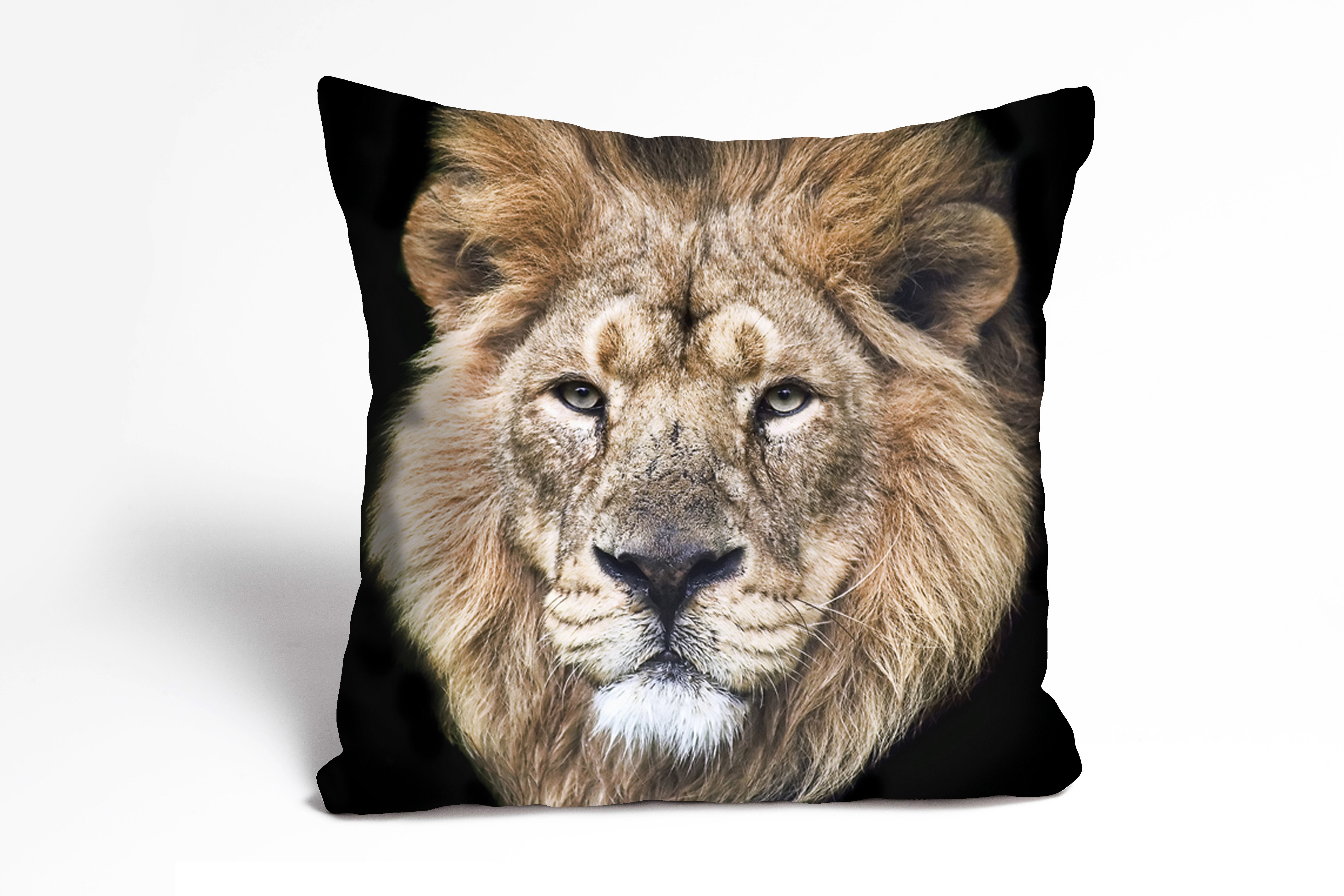 queence Dekokissen Frank, Kissenhülle,Löwe,Tiermotiv,Wildtier,Majestätisch,Naturmotiv,Kraftvoll