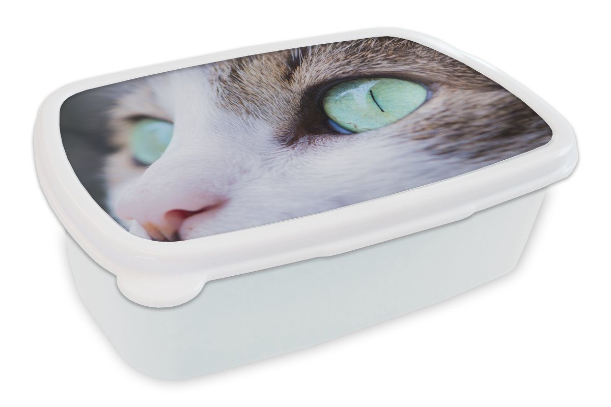 Kinder Kunststoff, Brotdose, und - und Brotbox (2-tlg), für Augen, Katze für Jungs Mädchen MuchoWow Lunchbox weiß - Erwachsene, Licht