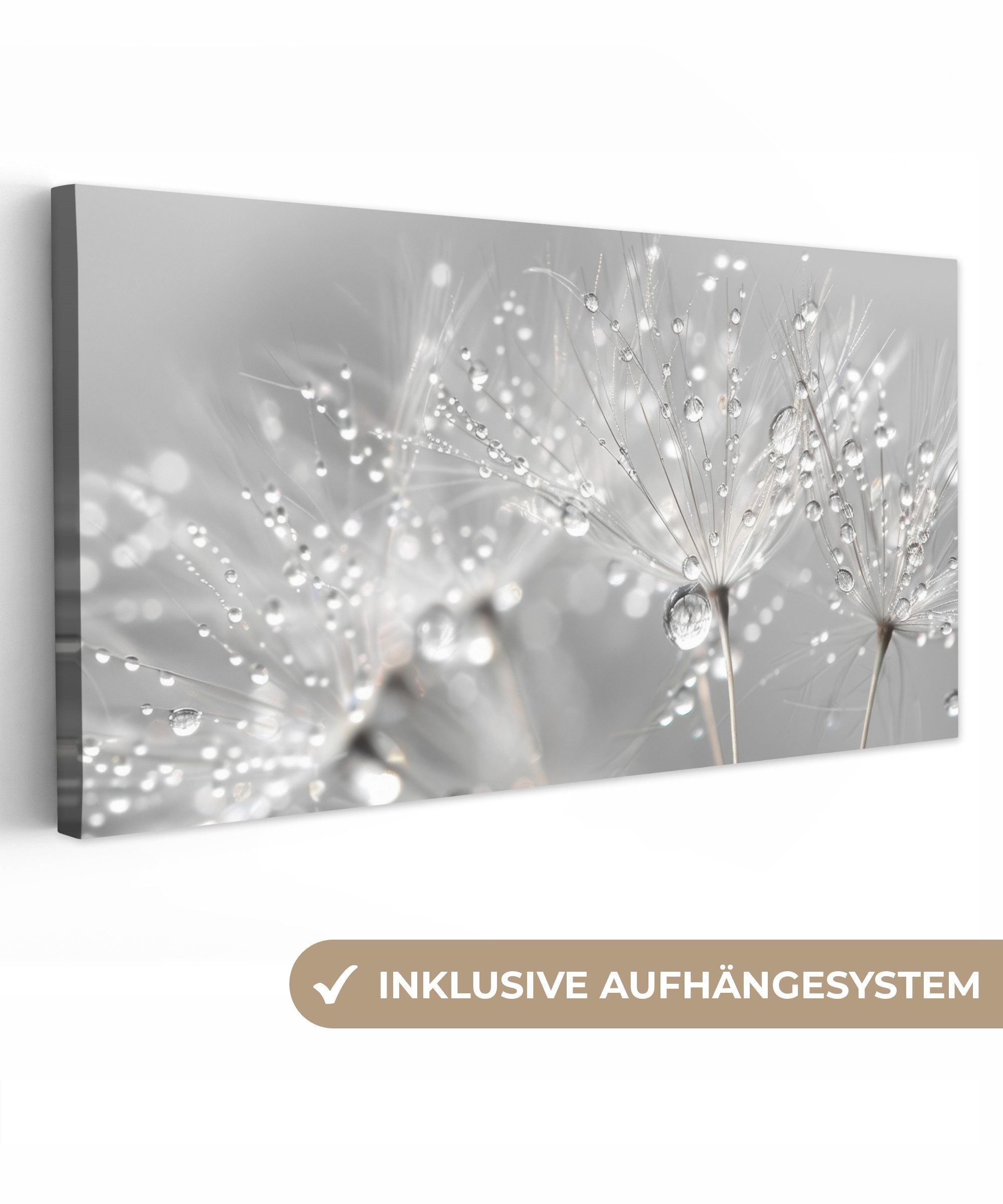 OneMillionCanvasses® Leinwandbild Panorama Löwenzahn - Wassertropfen günstig online kaufen
