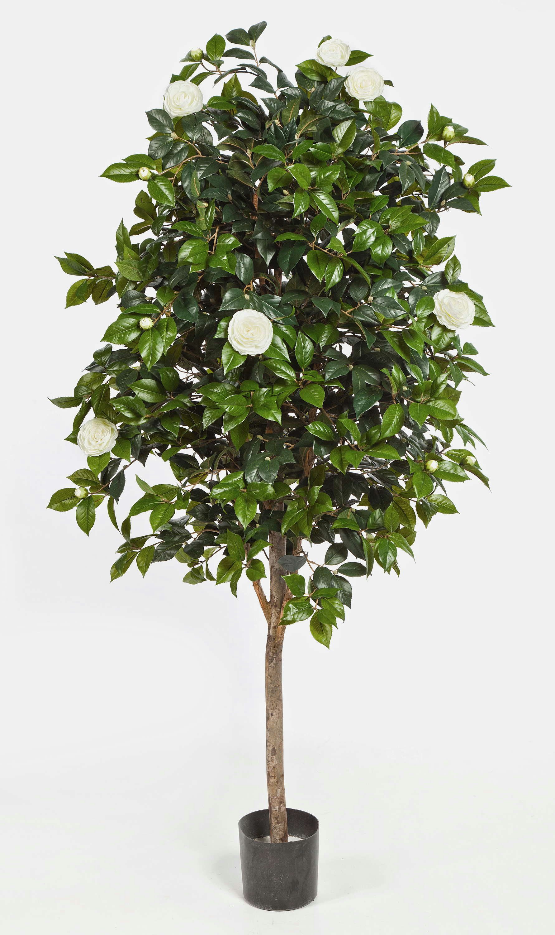 Kunstbaum Deko Kamelien Baum, 1670 Blätter, 170 Blüten, weiß, 170cm Kamelie, artplants, Höhe 170.0 cm