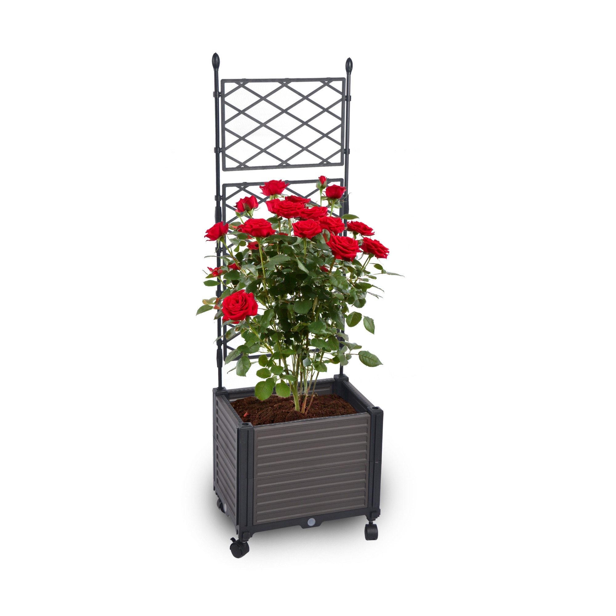 Gartenwelt Riegelsberger Blumenkasten mit Spalier 41x30xH125 cm auf Rädern für Garten Terrasse