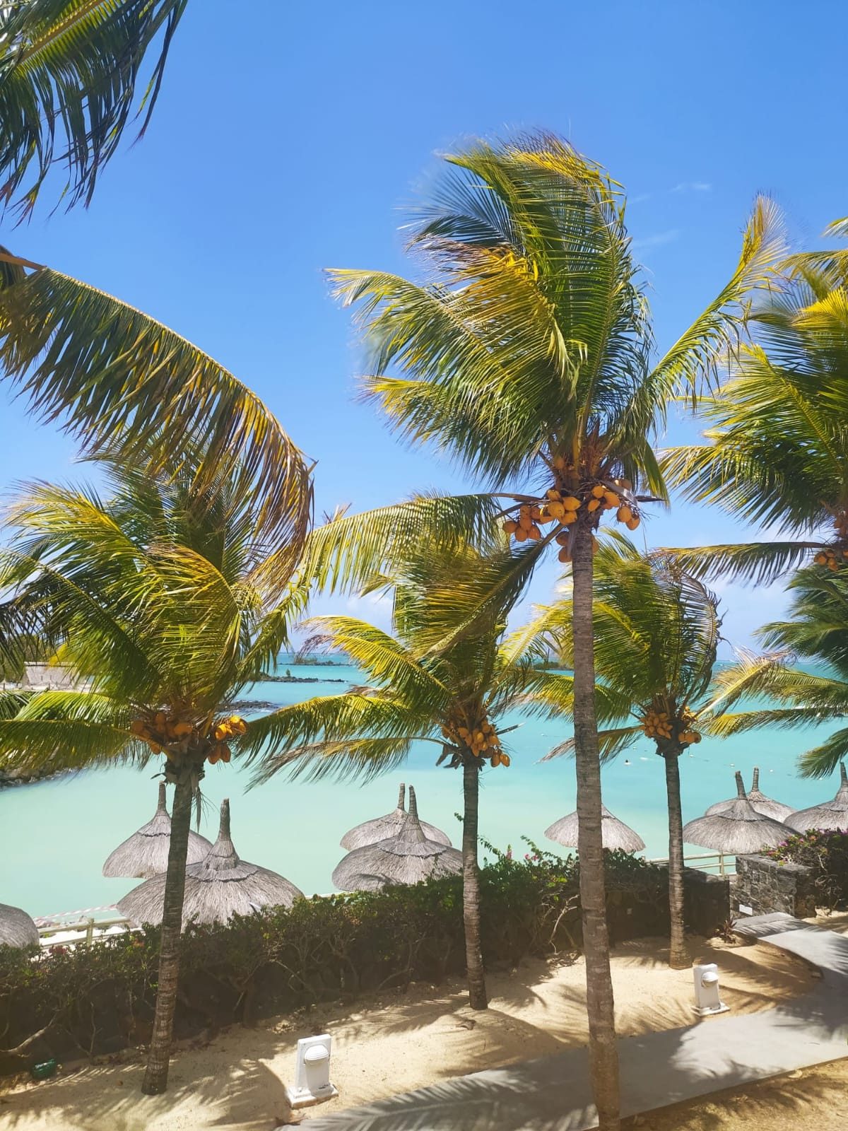 Malen nach Zahlen BASTELIDEEN 5d Diamond Painting Set Motiv Palmen auf Mauritius