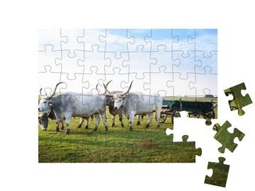 puzzleYOU Puzzle Hortobagy National Park, Ungarn, 48 Puzzleteile, puzzleYOU-Kollektionen Ungarn
