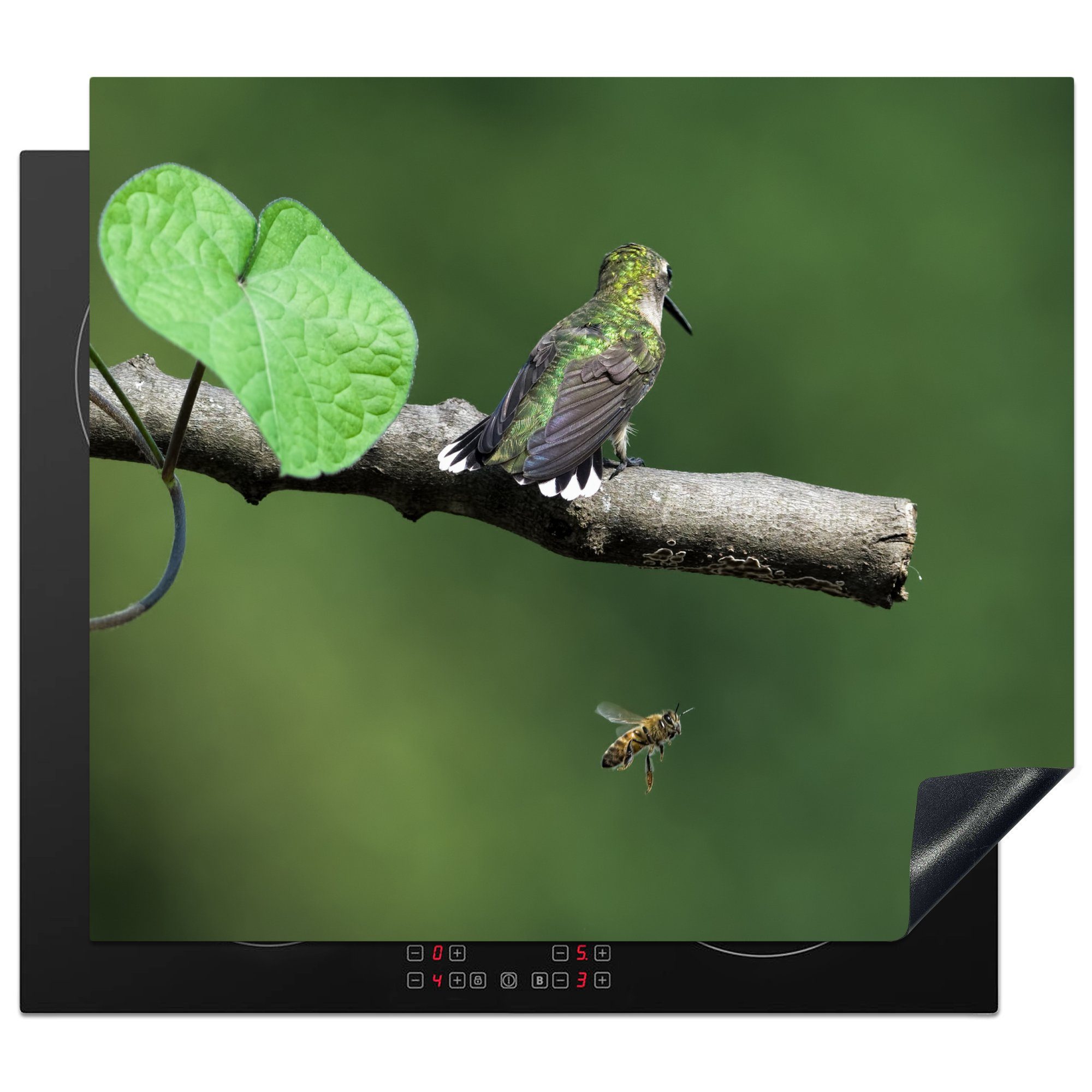 MuchoWow Herdblende-/Abdeckplatte Eine Biene und ein Kolibri vor einem verblassten grünen Hintergrund, Vinyl, (1 tlg), 60x52 cm, Mobile Arbeitsfläche nutzbar, Ceranfeldabdeckung