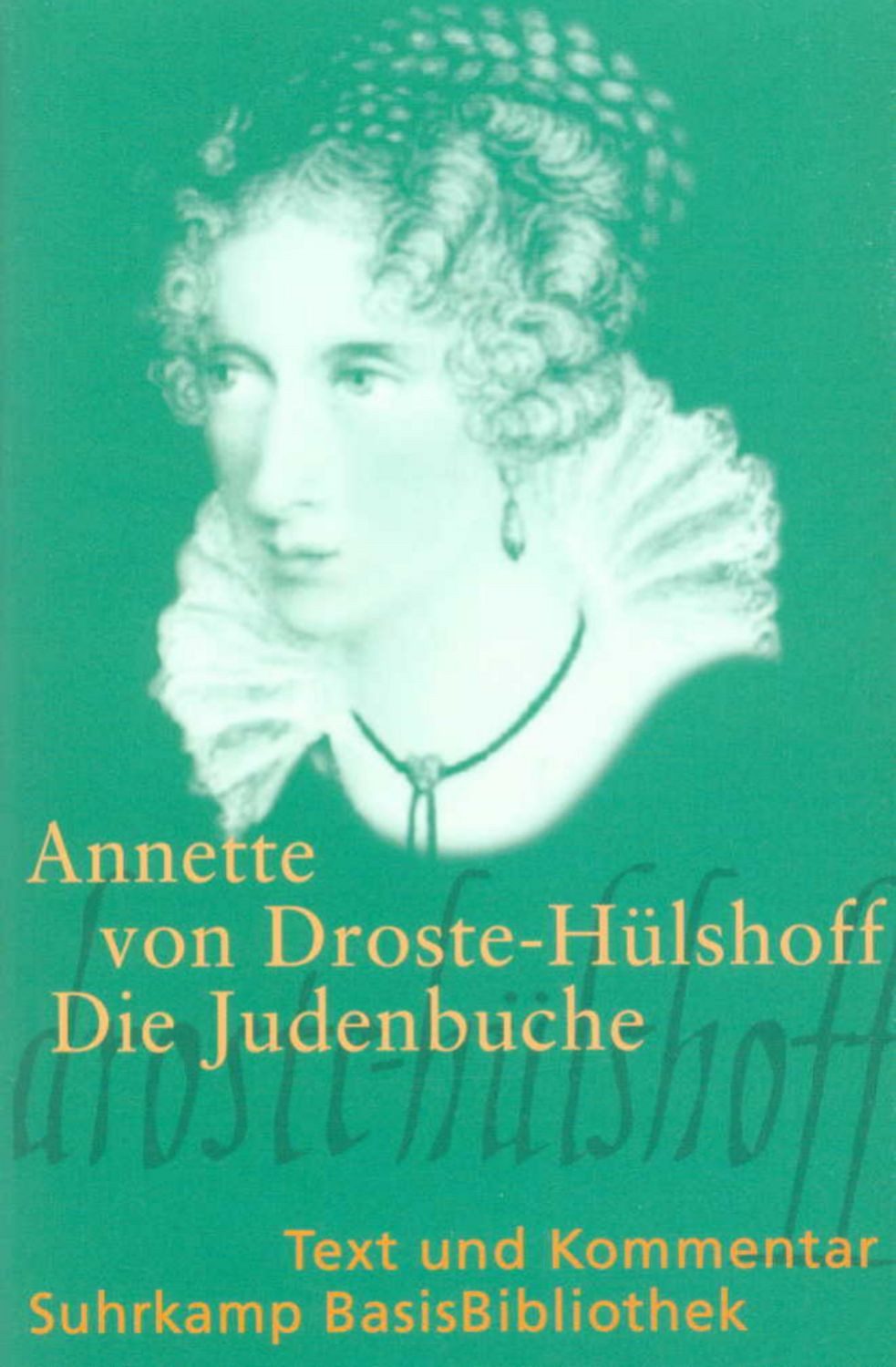 Die Judenbuche / Annette von Droste-Hülshoff