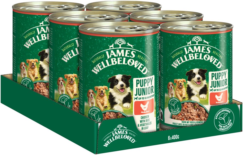 JAMES WELLBELOVED™ Hund Dose Junior Huhn Pastete 6 x 400g